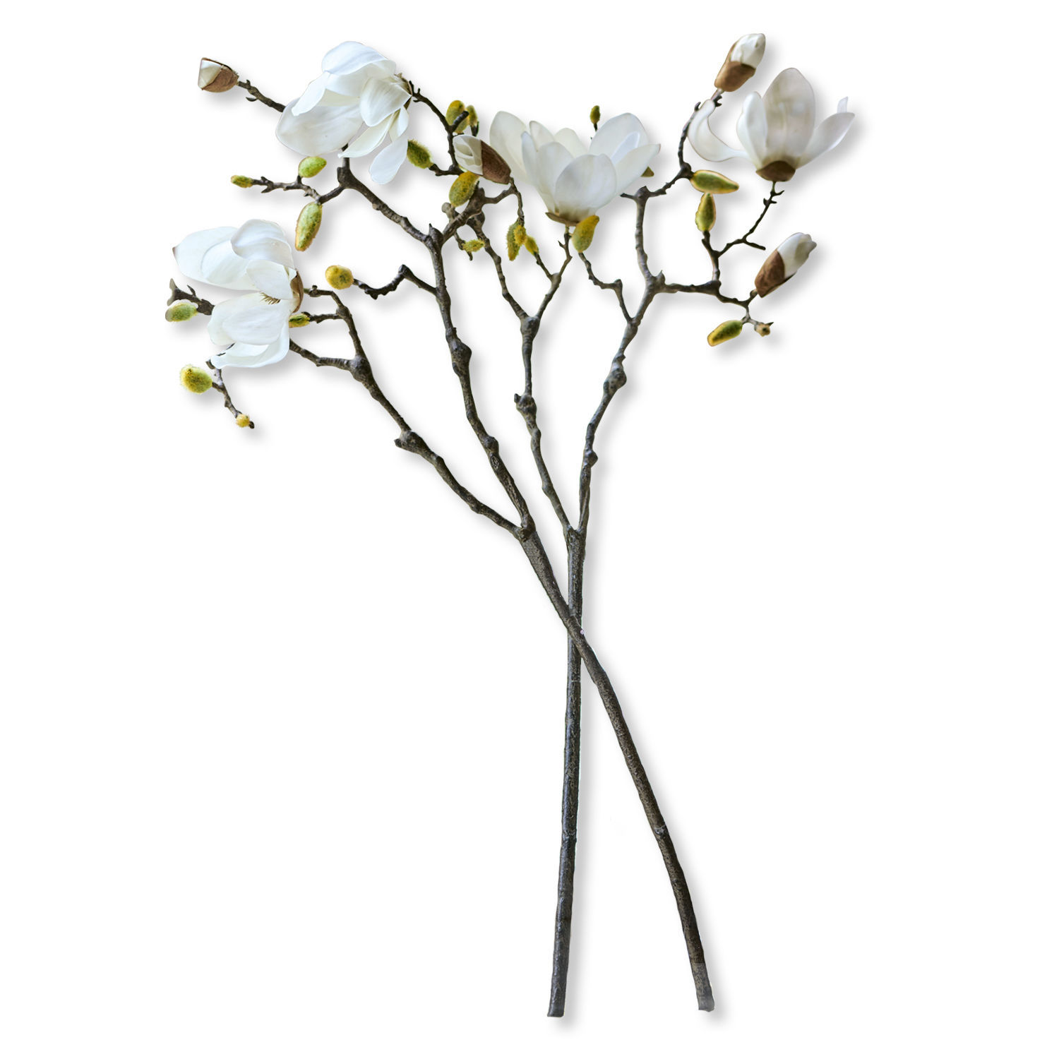Dekoblume 2er Set Mariella Magnolienzweige mit weißen Blüten und grünen Knospen als Wohnraumdekoration