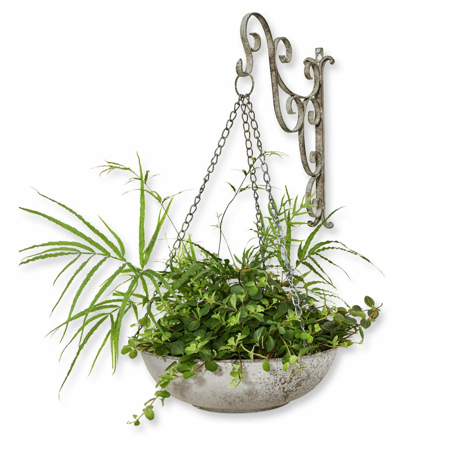 Hängende Metallschale in Grau mit grünen Pflanzen, dekorative Gartendekoration