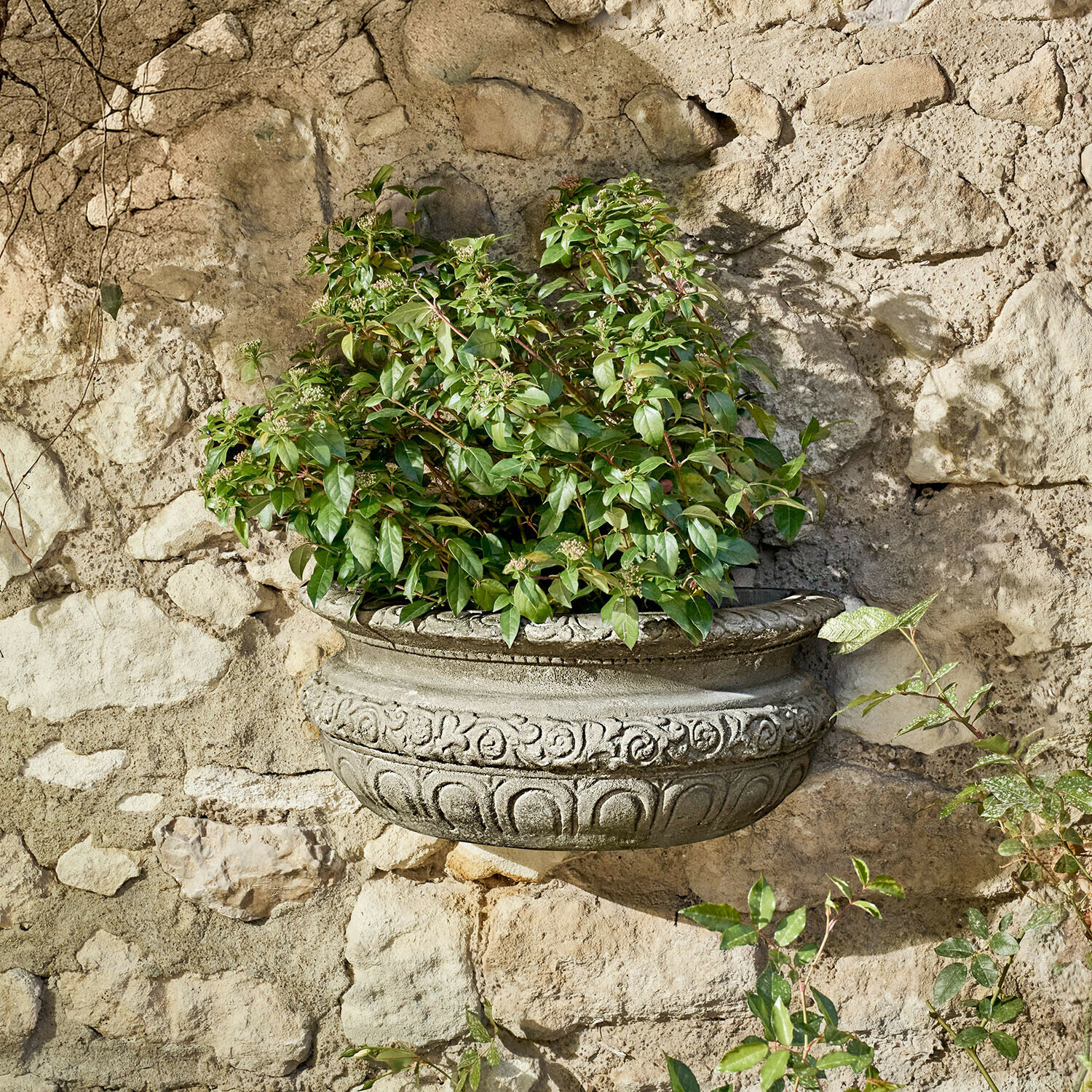 Dekorativer Wand-Blumentopf aus Beton mit grünen Blättern vor rustikaler Steinmauer