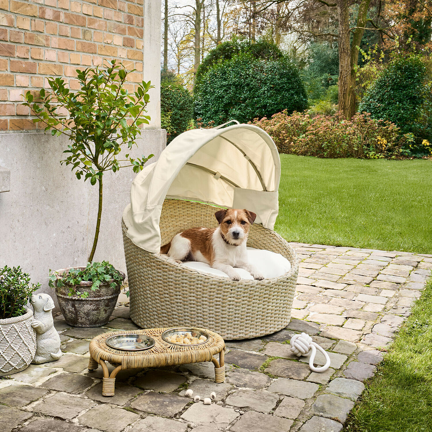 Beiges Rattan-Hundebett mit Sonnendach im Garten, kleiner braun-weißer Hund liegt darin