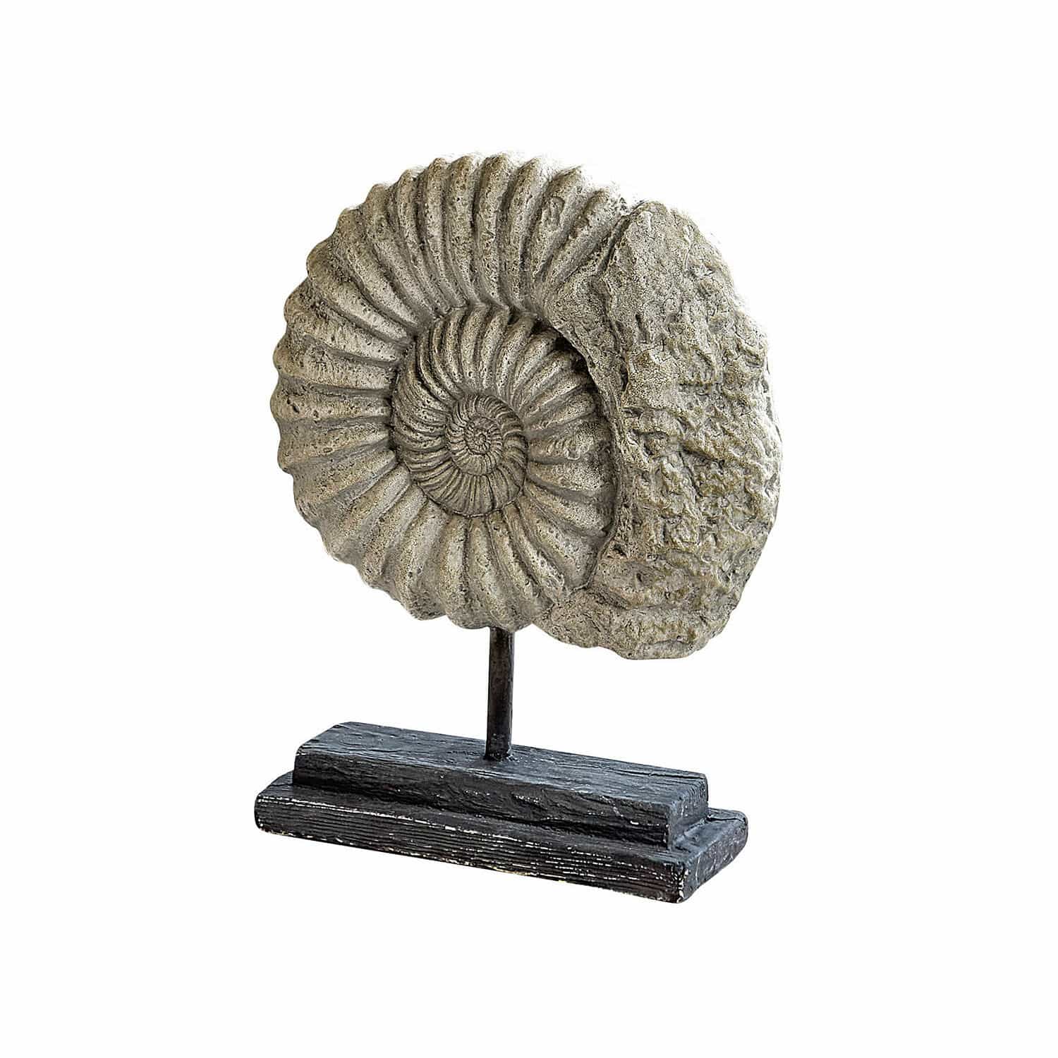 Deko-Objekt Dewey Dekorative graue Ammoniten-Figur auf schwarzem Holz- und Metallständer
