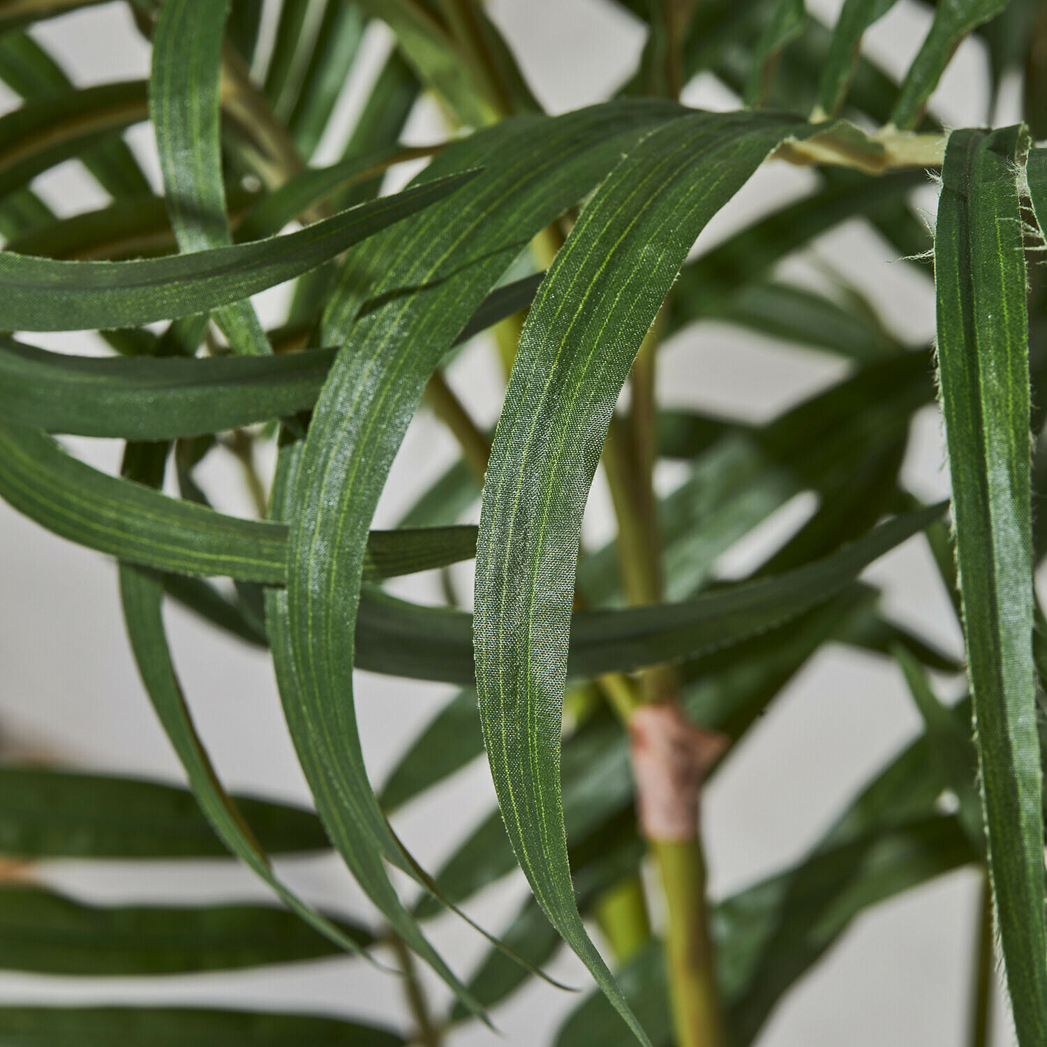 Deko-Palmenplanze Mersina