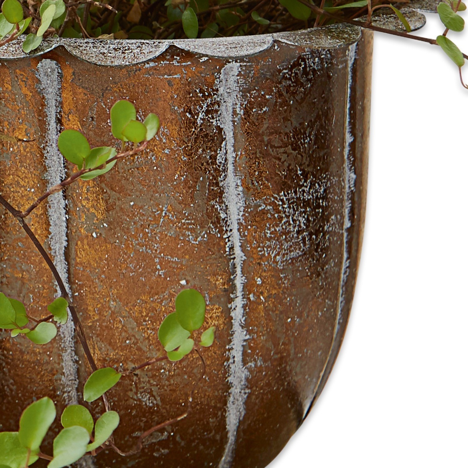 Dekorativer Blumentopf aus rostigem Metall mit grünen Blättern, Wohn- und Gartendekor
