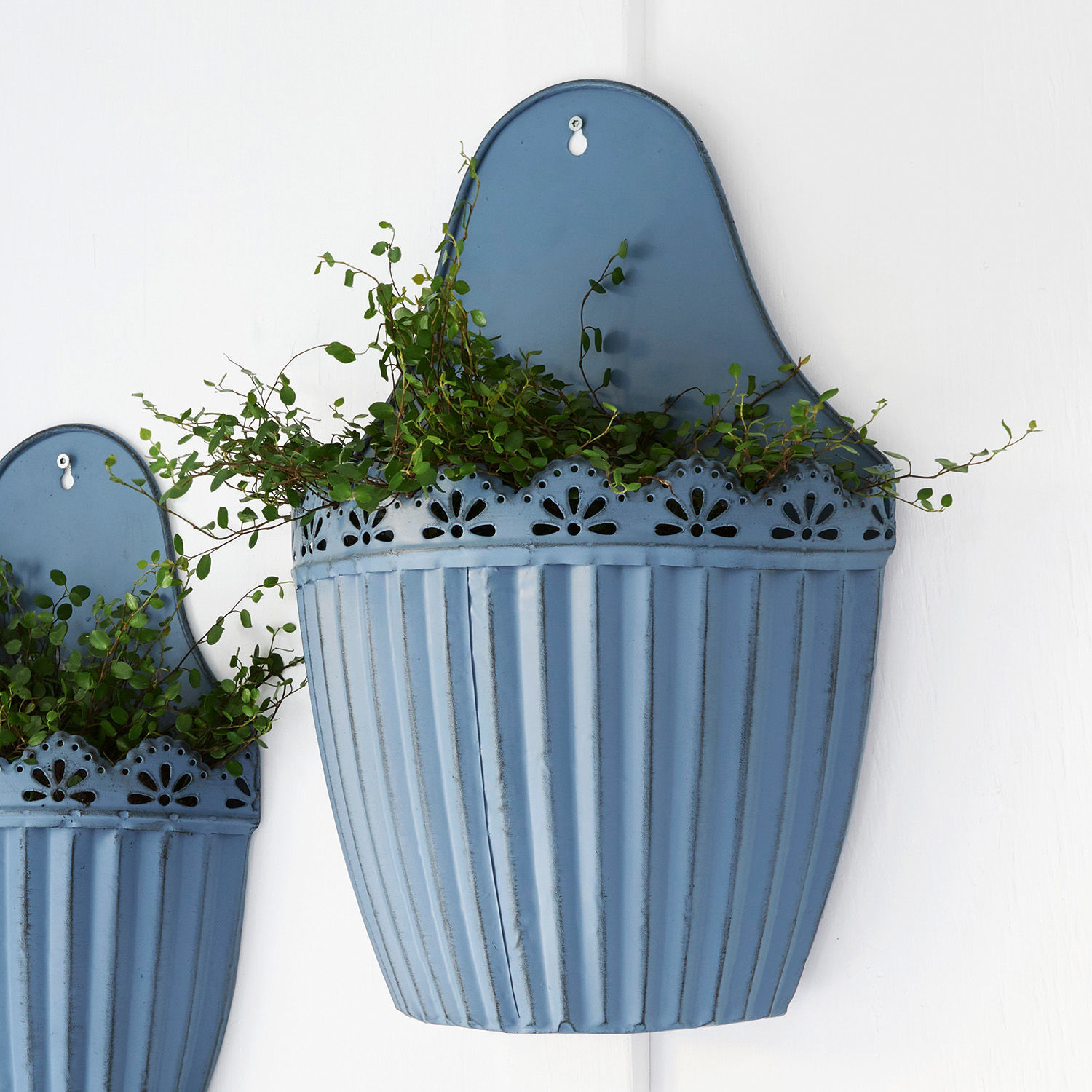 Blaue Metall-Wandblumenkasten mit filigranem Muster und grüner Pflanze, Wanddeko