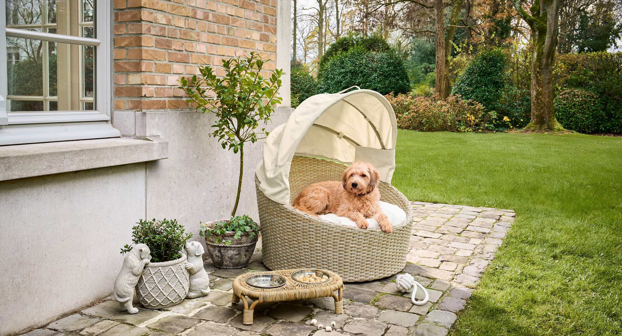 Strandkorbfeeling für vier Pfoten