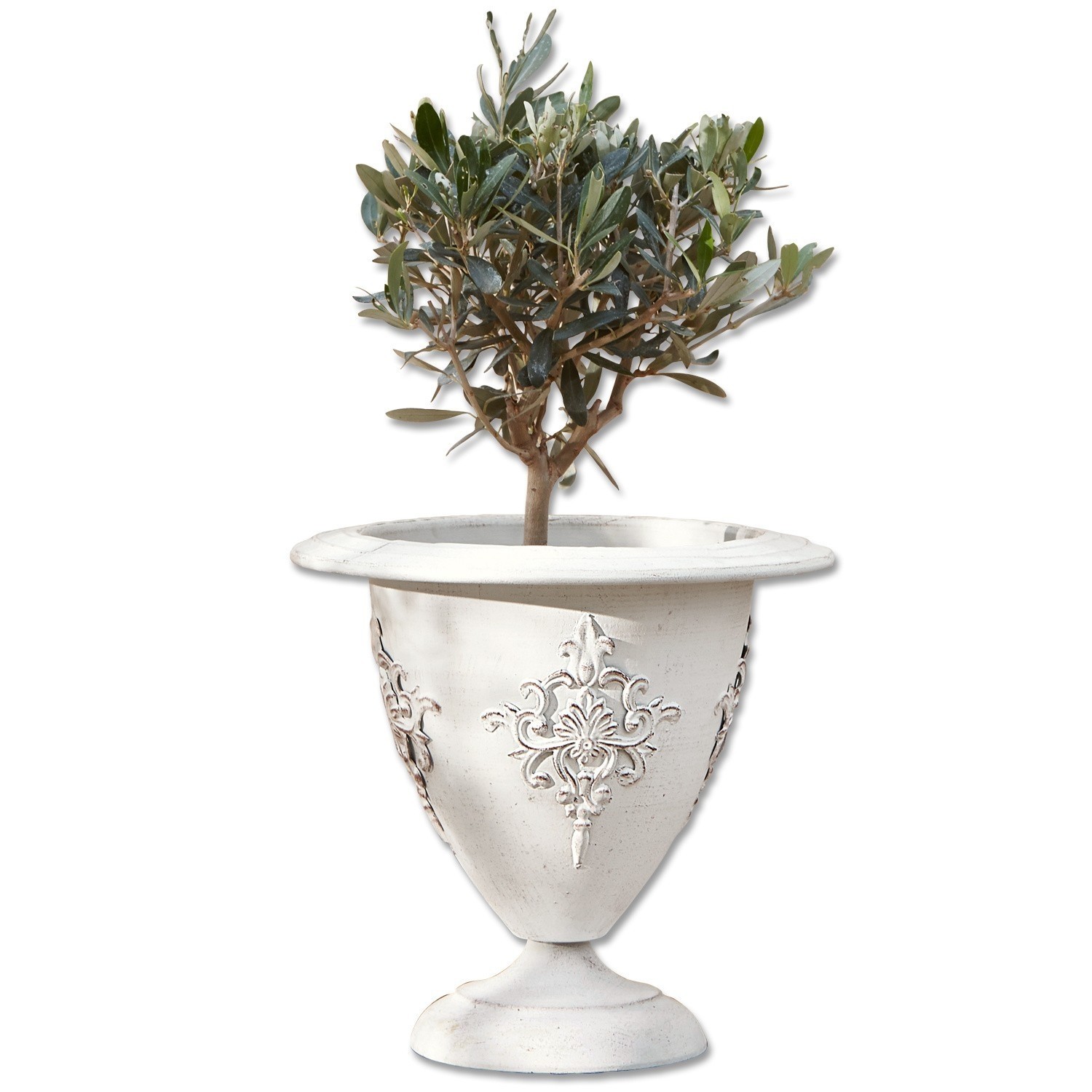 Weiße Keramik-Pflanzvase mit dekorativem Relief und grüner Pflanze, Gartendekoration