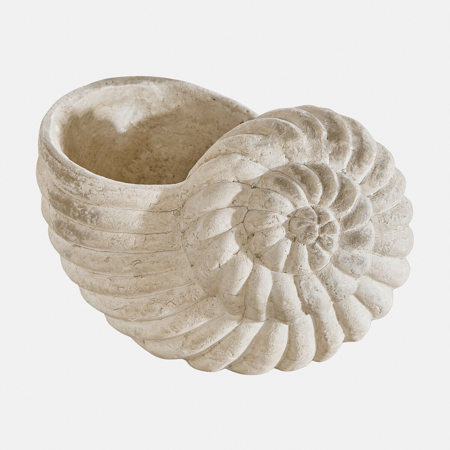 Dekorativer Blumentopf aus hellem Stein in Muschelform mit Spiralstruktur, Wohnaccessoire