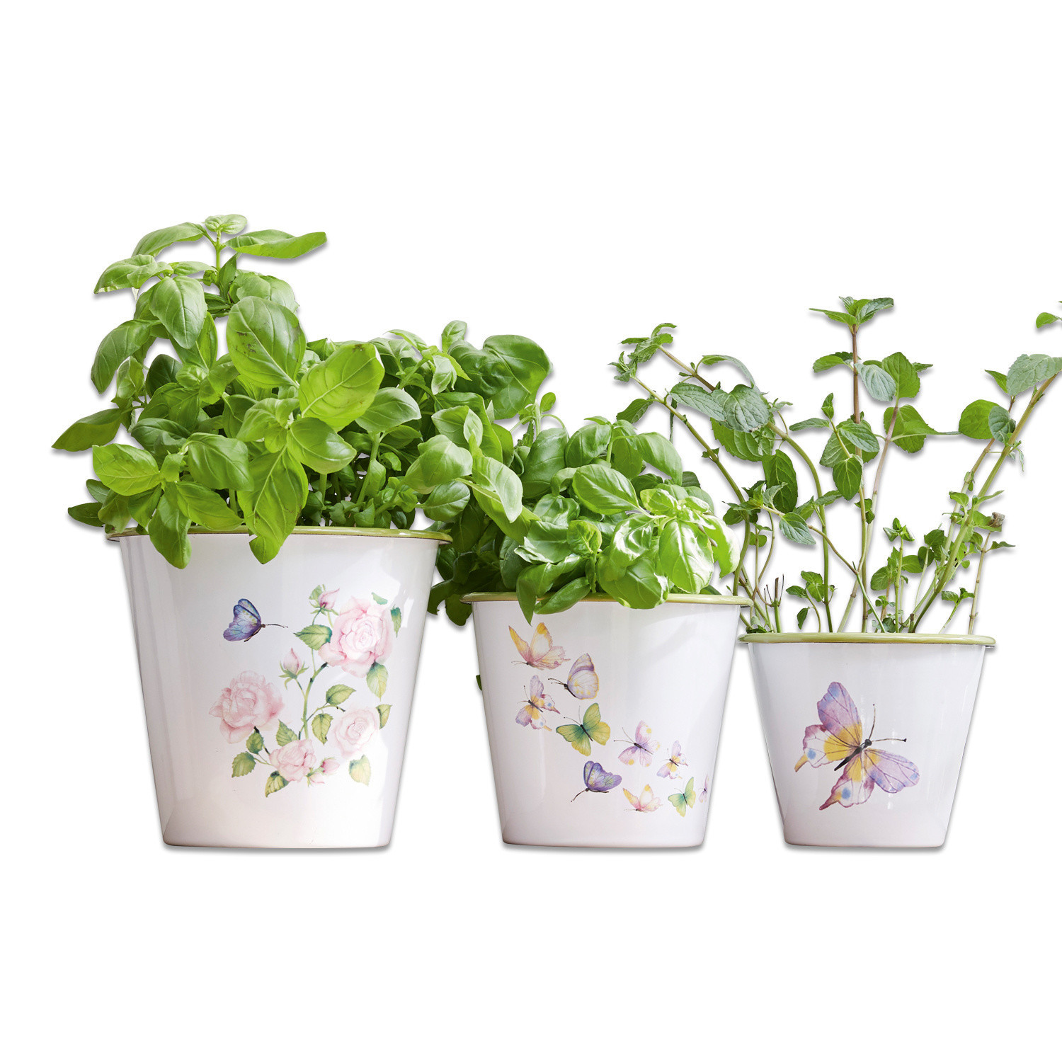 Drei weiße Keramikblumentöpfe mit Blumen- und Schmetterlingsmotiven, gefüllt mit grünen Kräutern