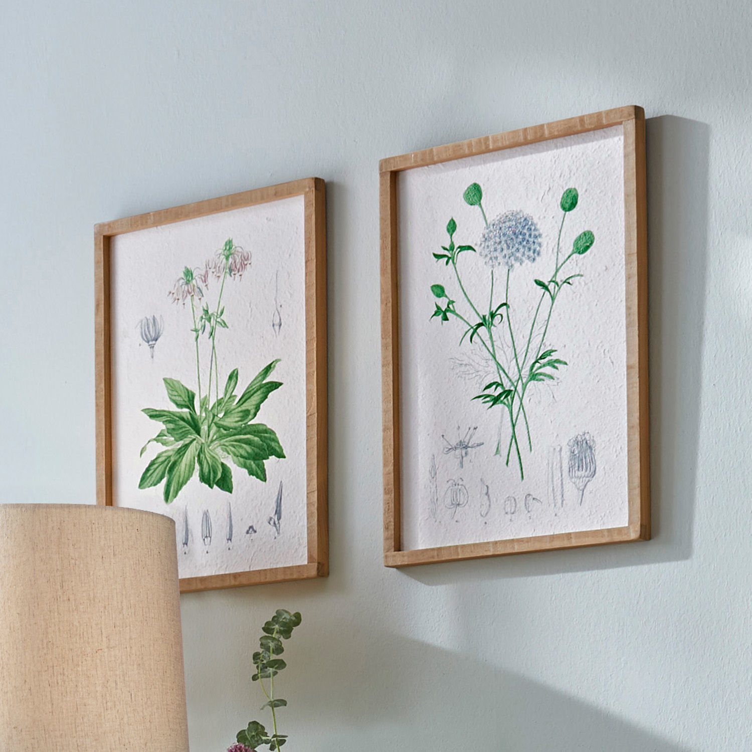 Zwei botanische Bilder mit grünen Pflanzen in Holzrahmen an heller Wand, Wanddekoration