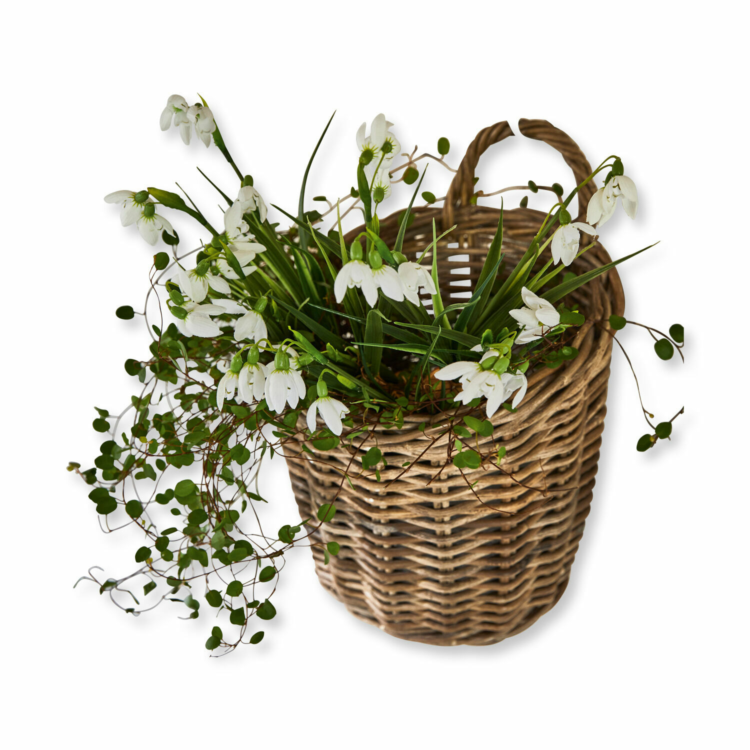 Korb Korovu Wikingerkorb mit weißen Blumen und grünen Blättern, frühlingshafte Wohnraumdekoration