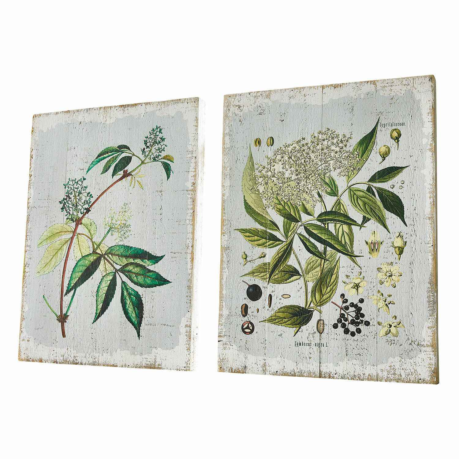Dekoboard 2er Set Loanne Zwei Holztafeln mit botanischen Illustrationen grüner Blätter und Blüten auf weißem Hintergrund