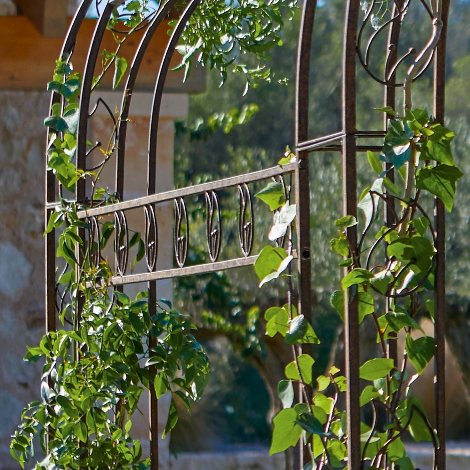 Metall-Gartenpergola mit grünen Kletterpflanzen vor Steinmauer und Naturkulisse