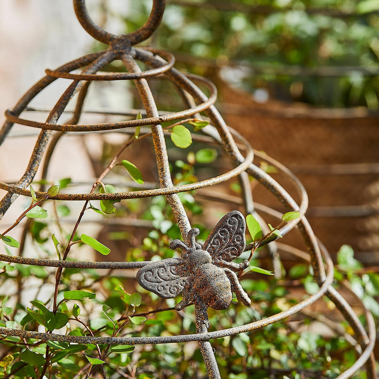 Rankhilfe 2er Set Sixel