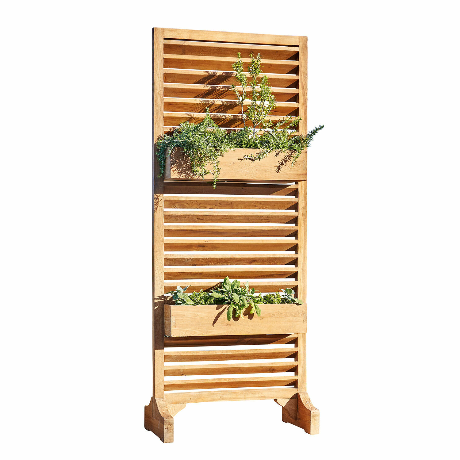 Holzlamellenwand mit zwei Pflanzkästen und grünen Pflanzen, naturfarbiges Holz