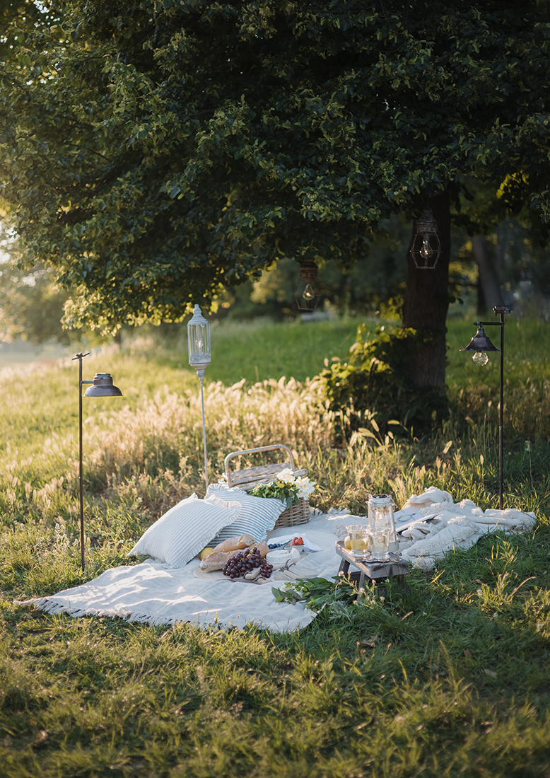 Gemütliches Picknick auf weißer Decke mit Kissen und Korb auf Gras unter einem Baum im Sonnenlicht
