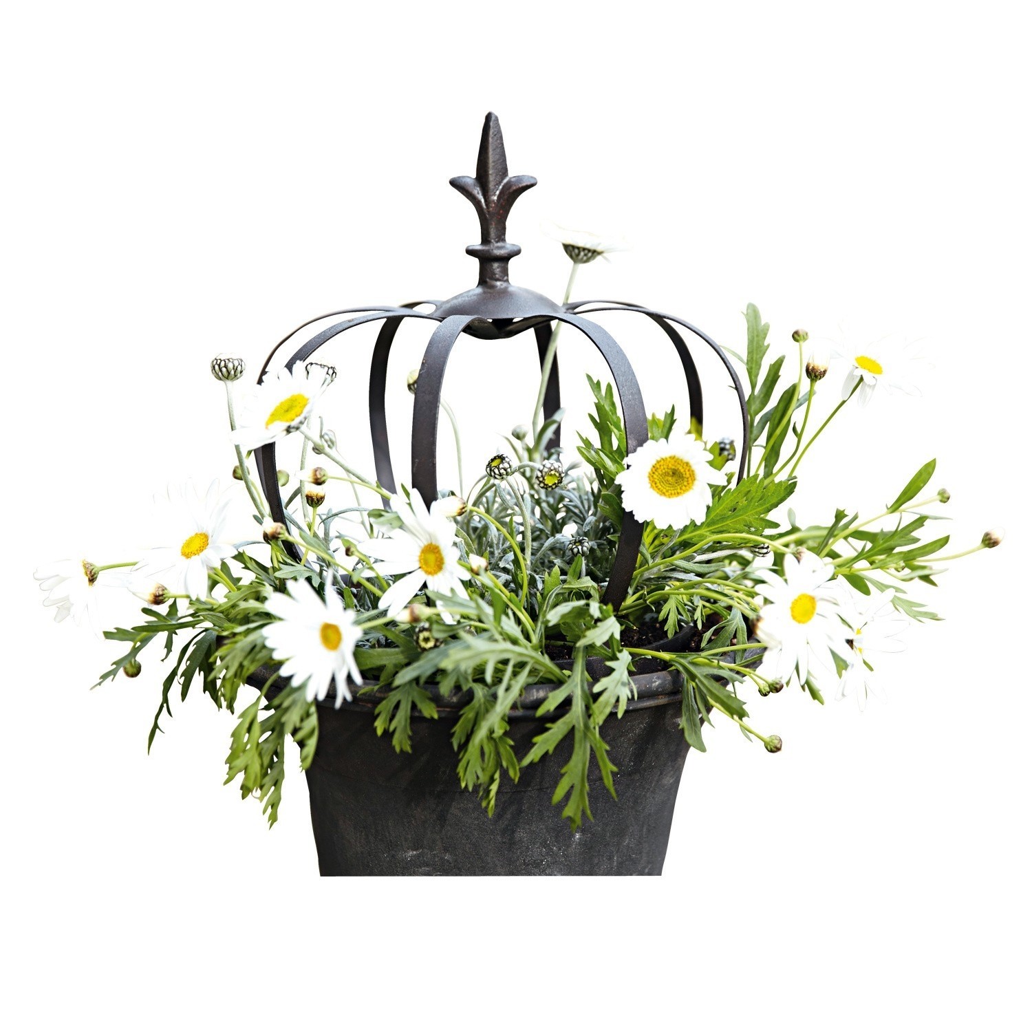Schwarze Metallkrone als Dekoration in Blumentopf mit weißen Blumen und grünem Laub