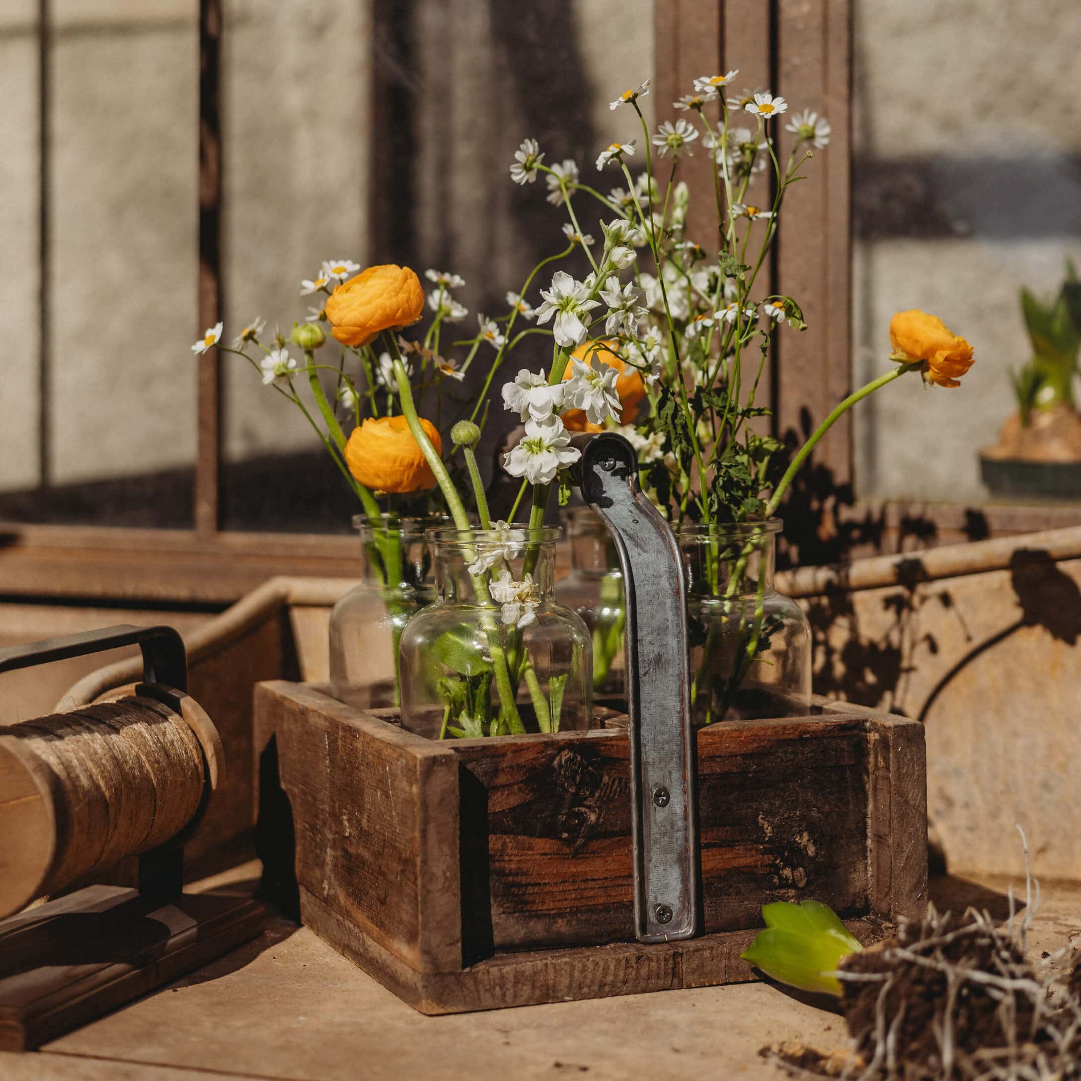 Holzkiste mit Griff und Glasvasen mit gelben und weißen Blumen auf Gartentisch bei Sonnenlicht
