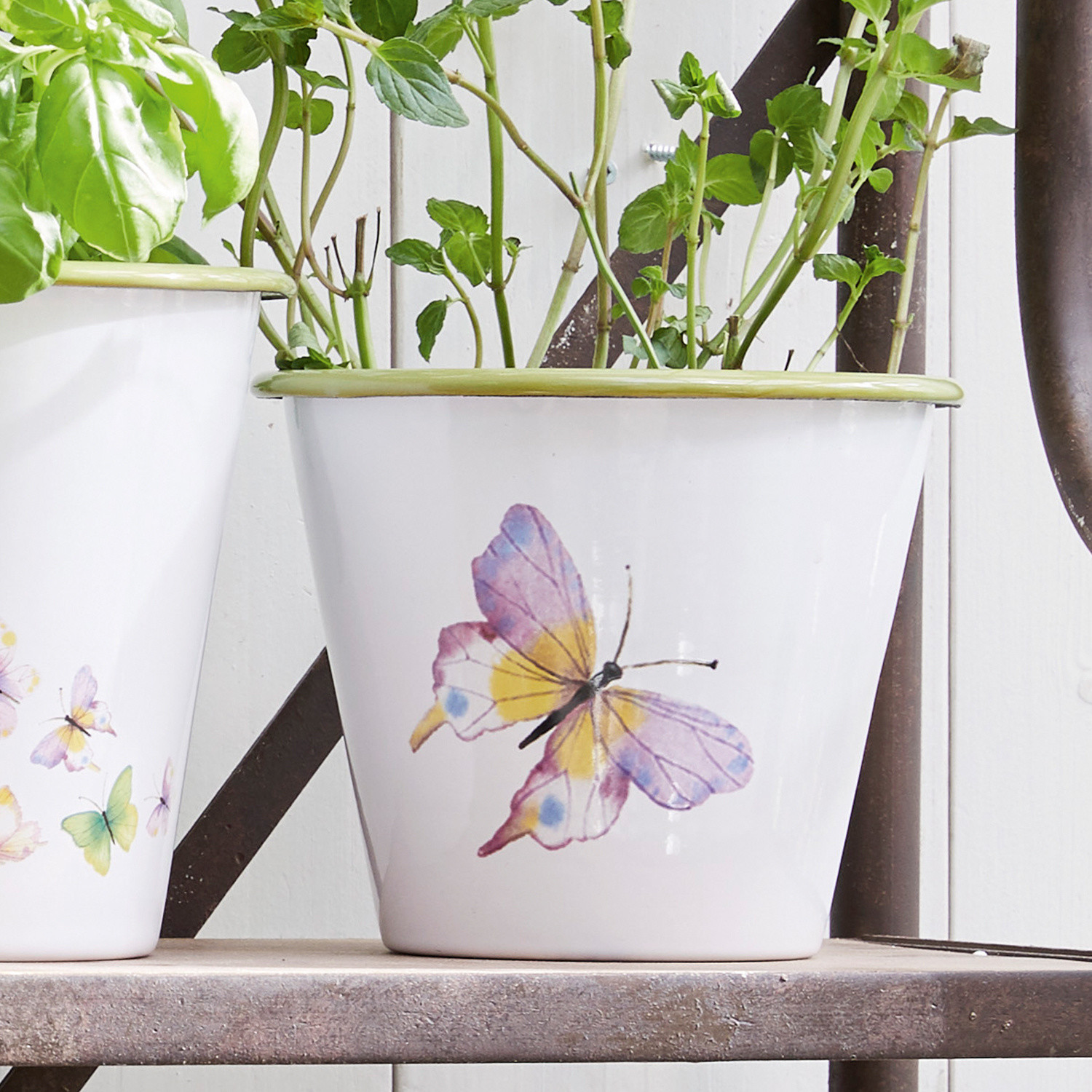 Weißer Keramik-Blumentopf mit buntem Schmetterlingsmotiv und grünen Pflanzen auf Regal