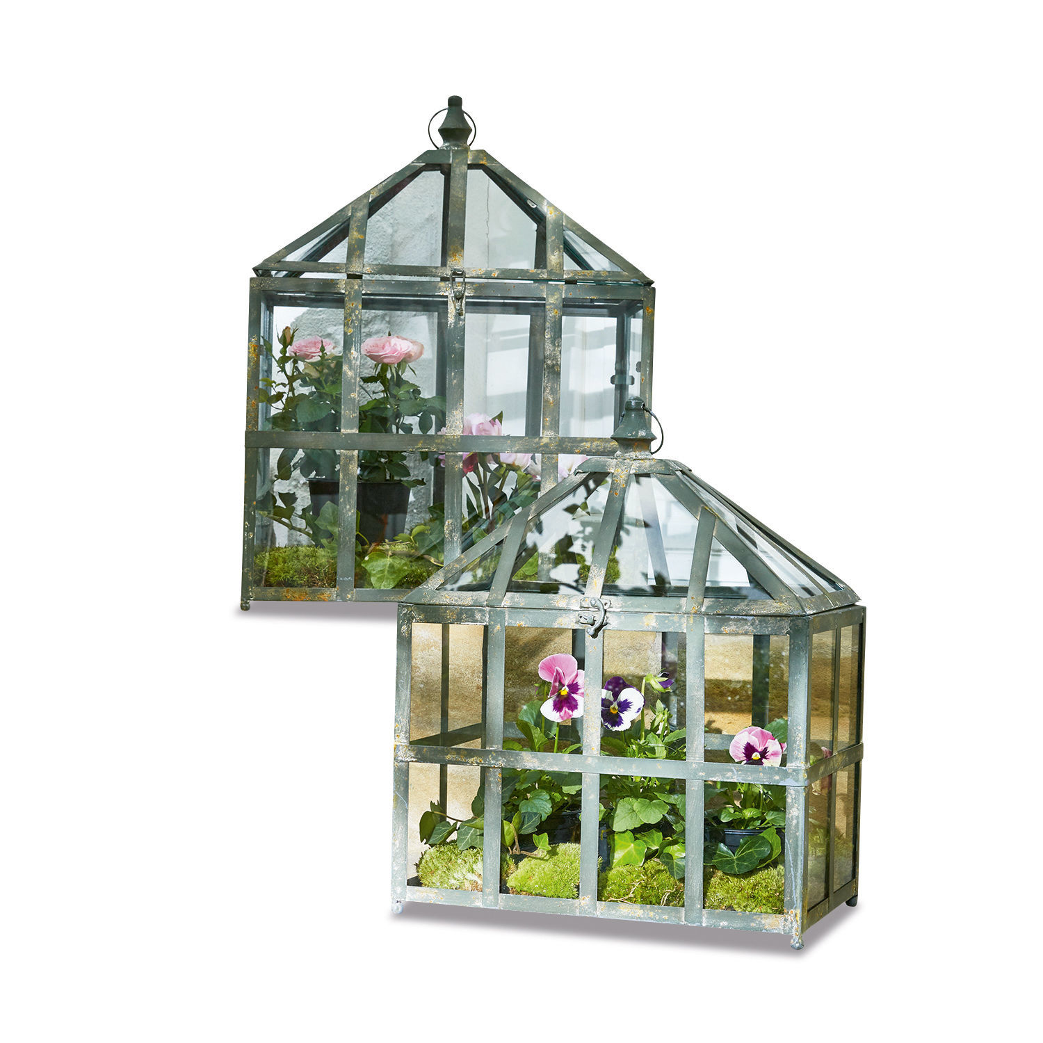 Dekoratives Gewächshaus aus grün patiniertem Metall mit Blumen und Moos für Garten