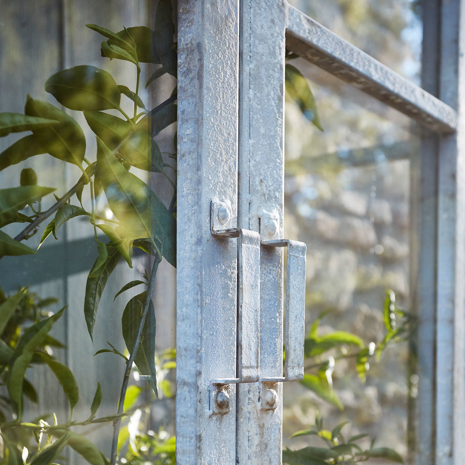 Metallgriffe an verwitterter Glastür eines Gartenhauses im natürlichen Licht