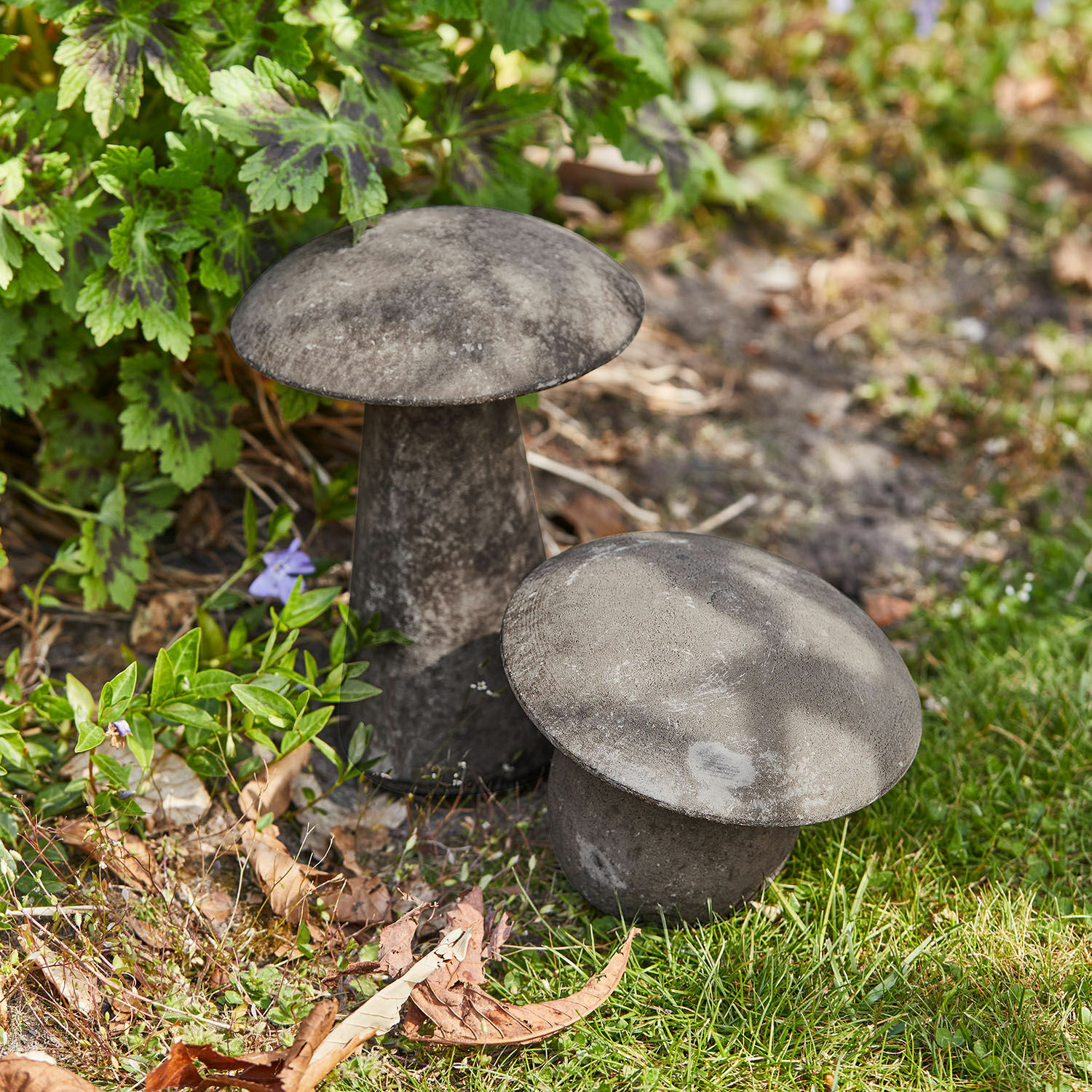 Deko-Pilz 2er Set Coudrelle