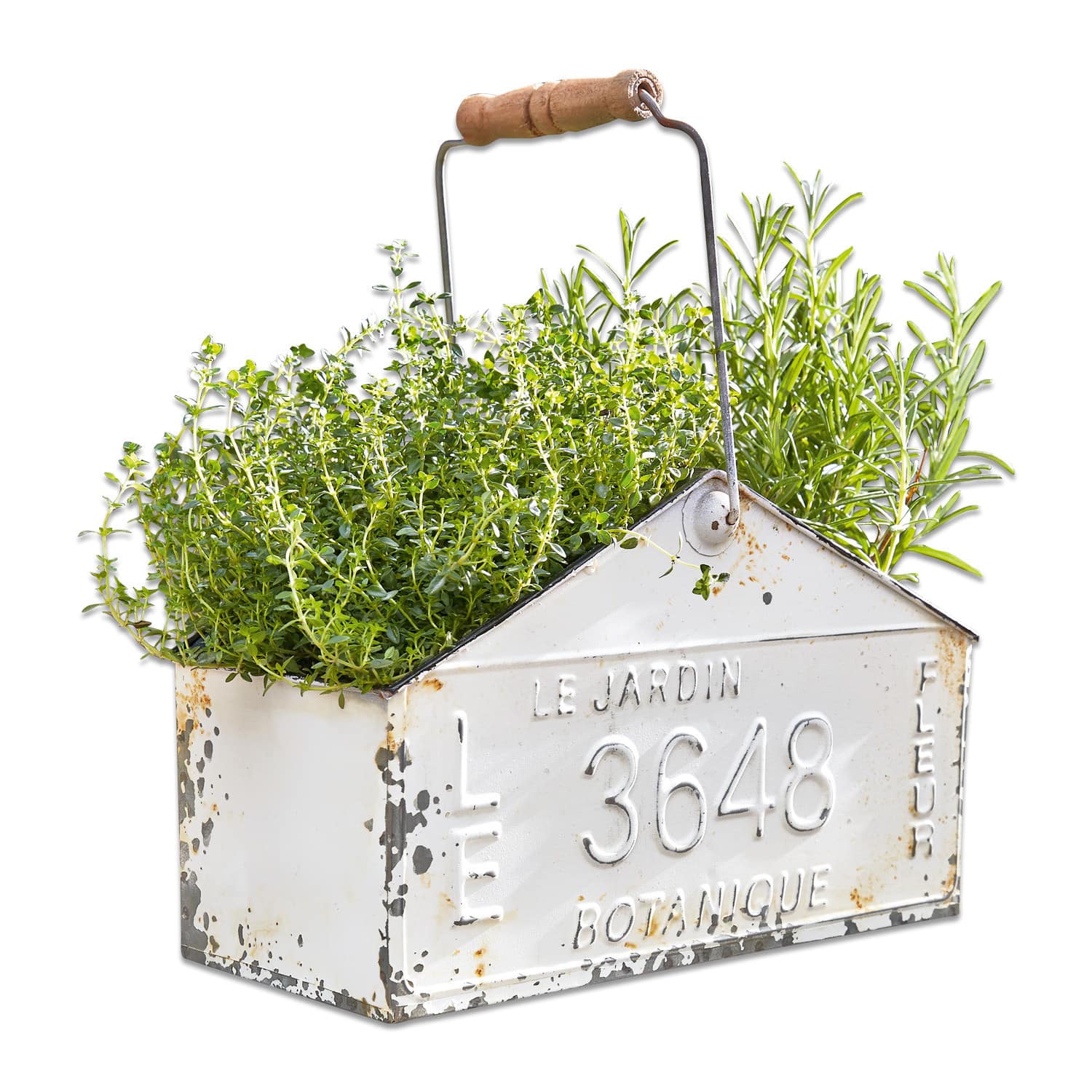 Korb Botanique Weiße Metallpflanzbox mit Holzgriff und grünen Kräutern, Vintage-Gartendekoration