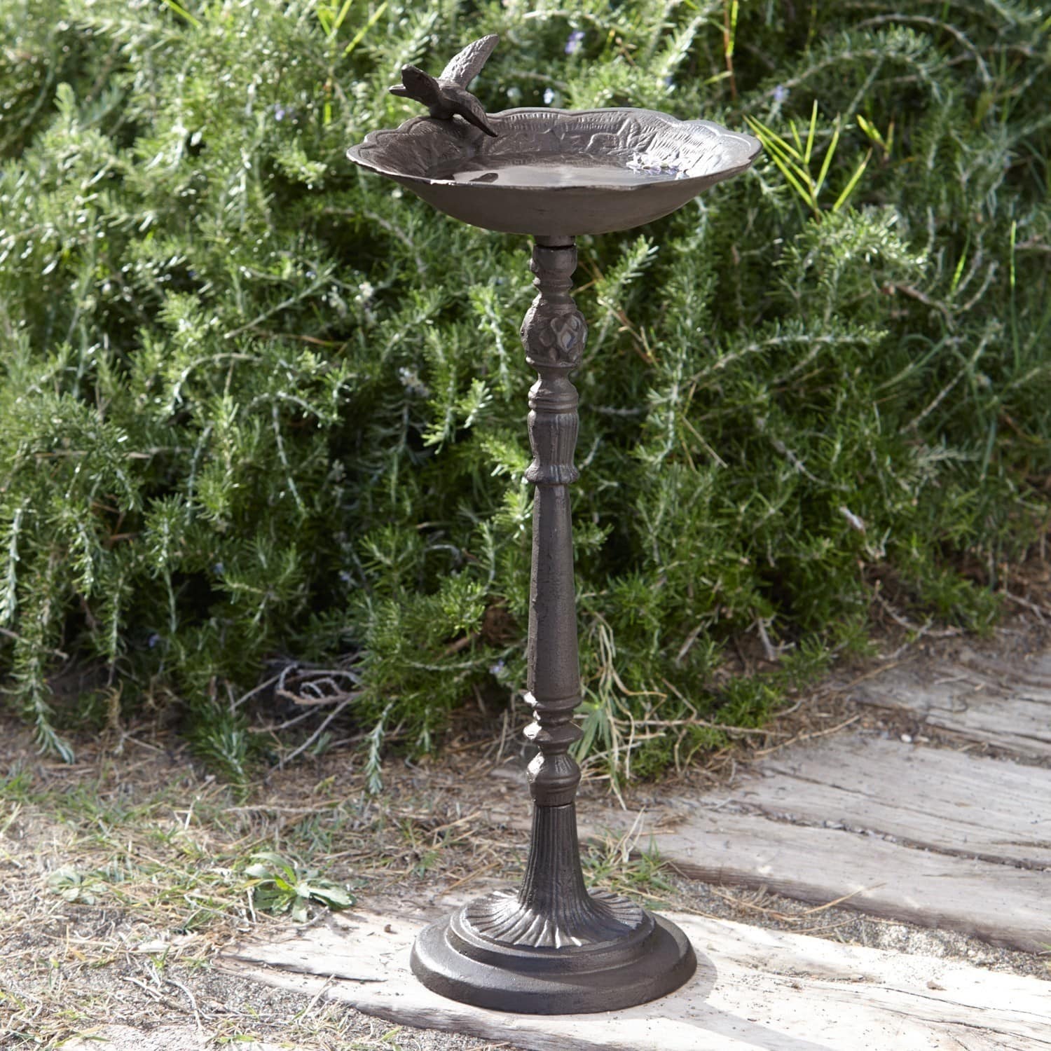 Vogeltränke Pinella