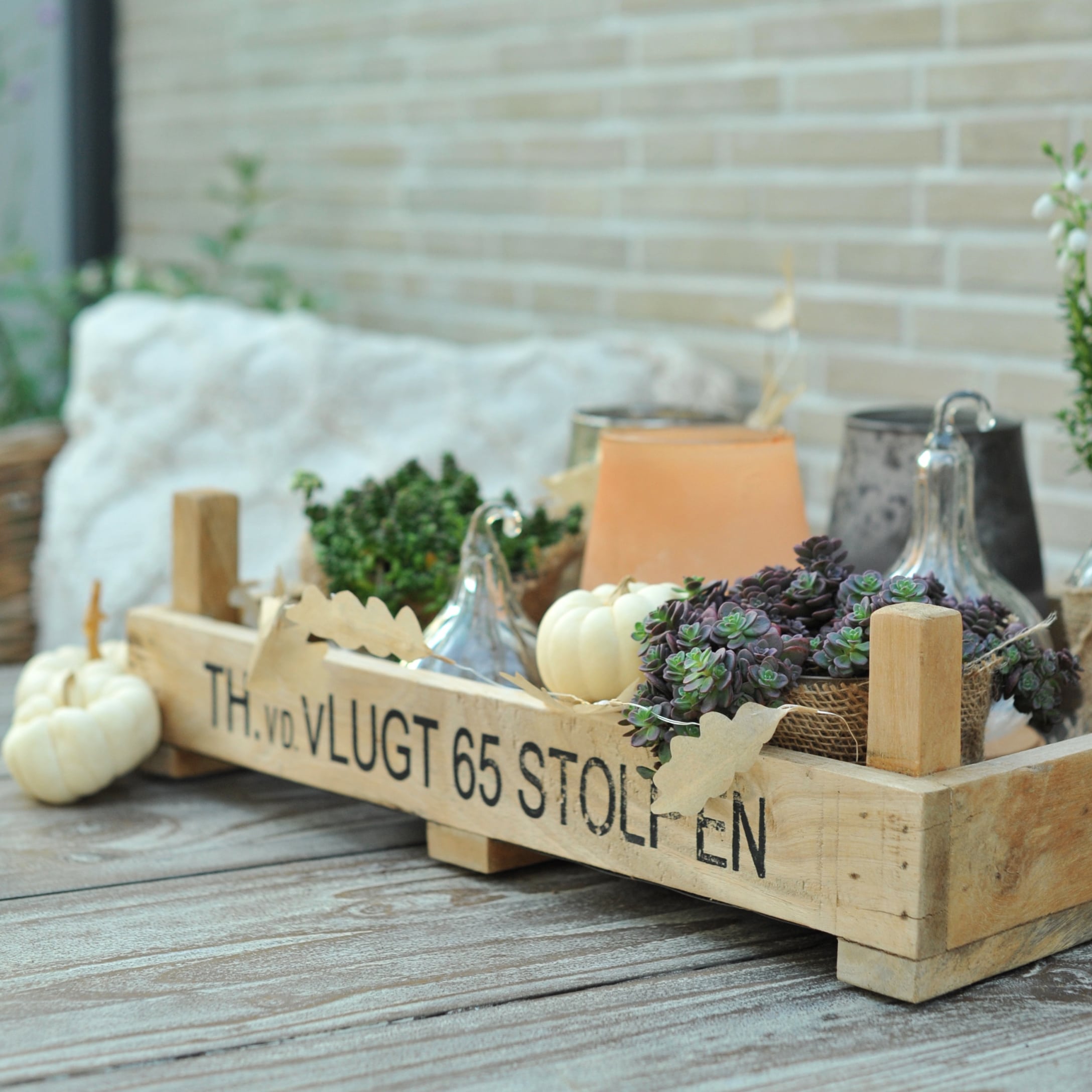 Holzkiste mit herbstlicher Dekoration, weißen Kürbissen und Sukkulenten auf Gartentisch