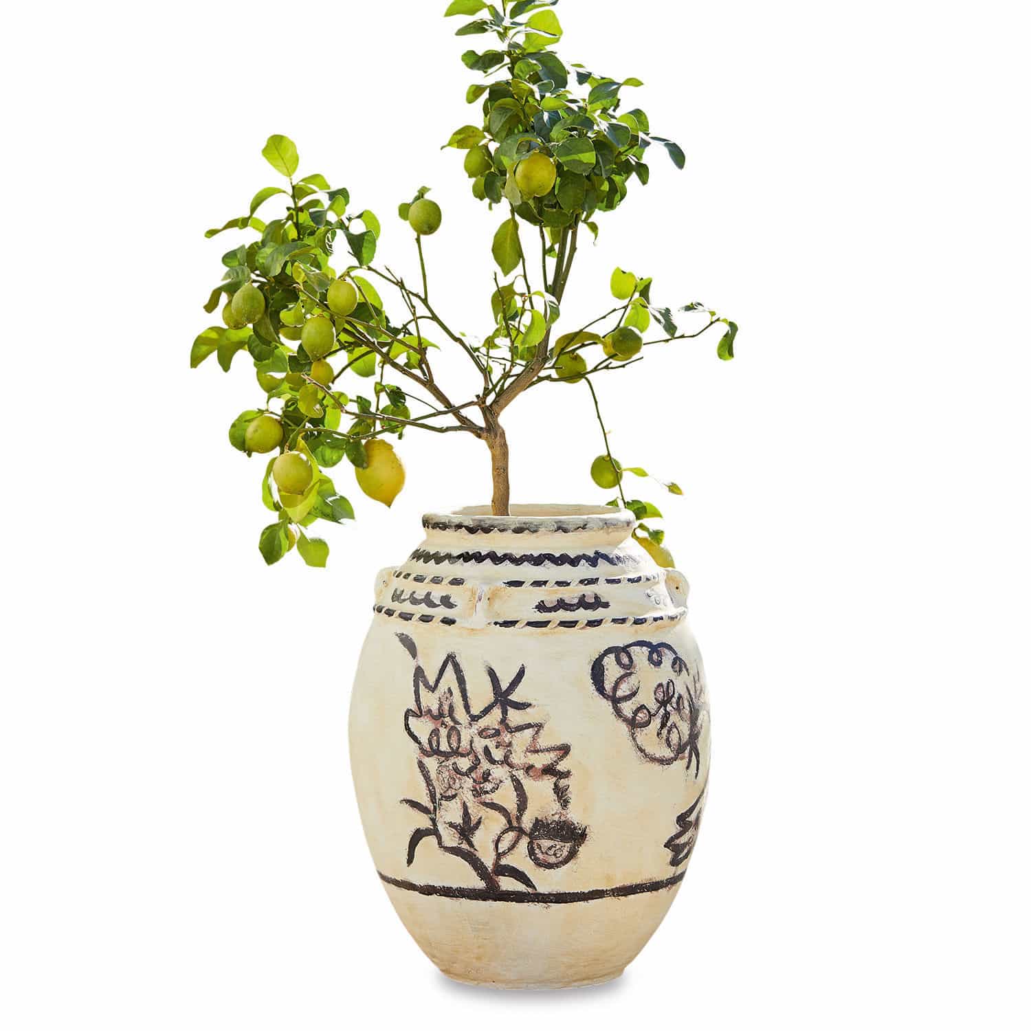 Amphore Dionysia