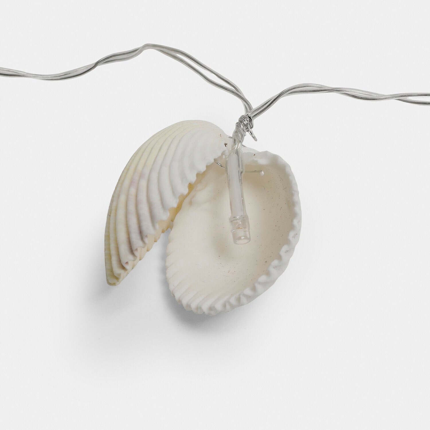 Dekorative Lichterkette mit weißen Muscheln und transparentem Kabel für sommerliche Wohnakzente