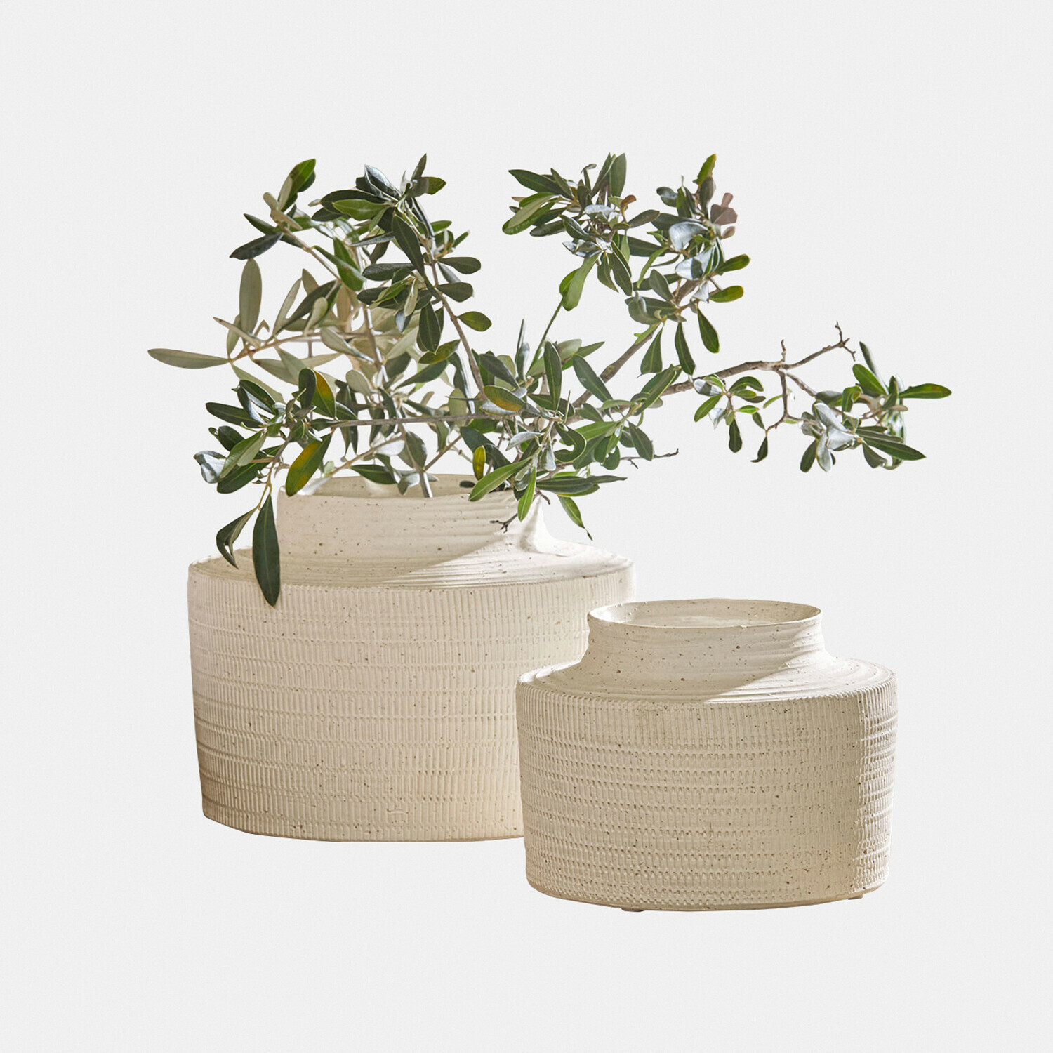 Vase 2er Set Délavrie Set aus zwei cremefarbenen, strukturierten Keramikvasen mit grünen Zweigen, stilvolle Wohnraumdekoration