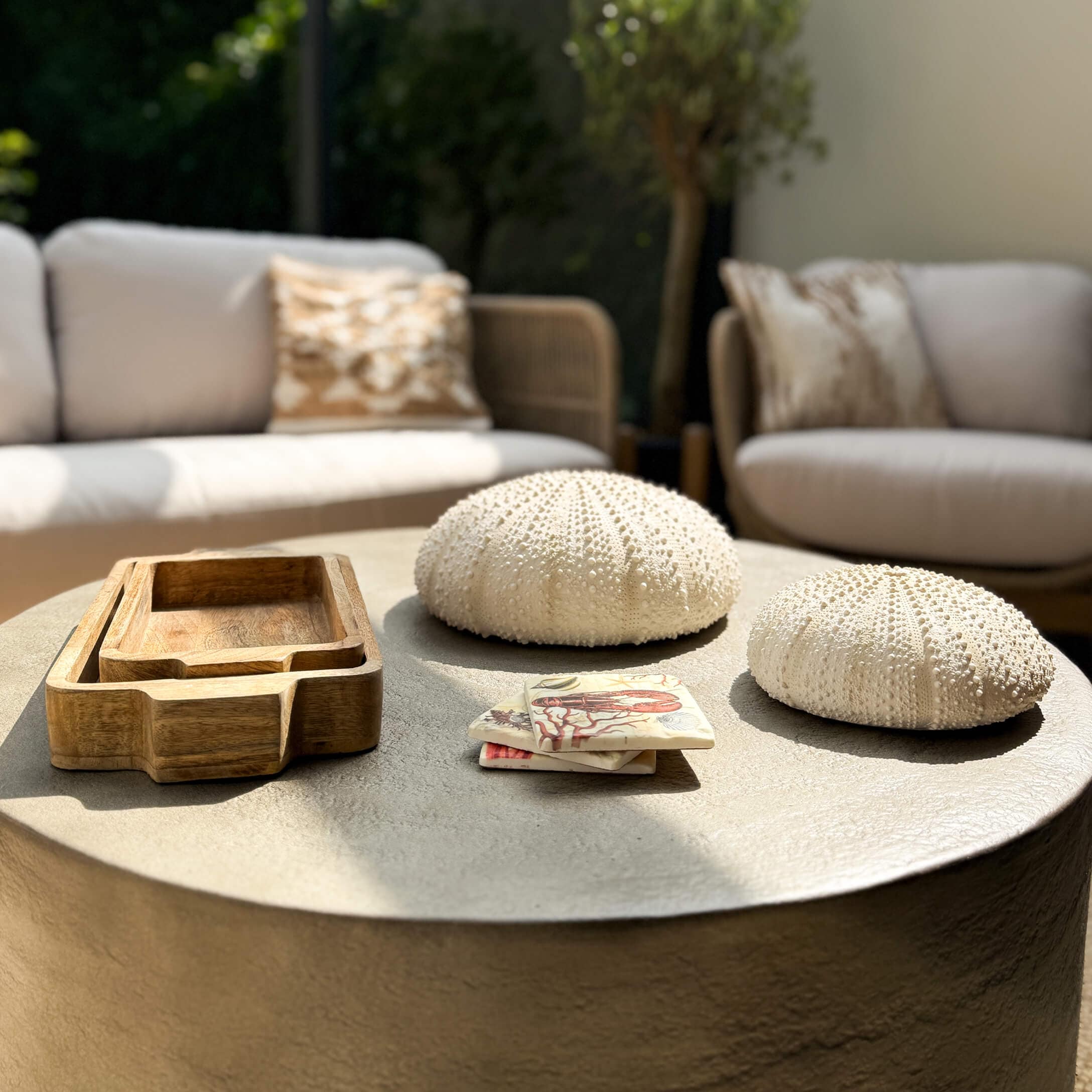 Weiße Seeigel-Deko und Holztabletts auf grauem Tisch in modernem Wohnzimmer mit hellen Sofas