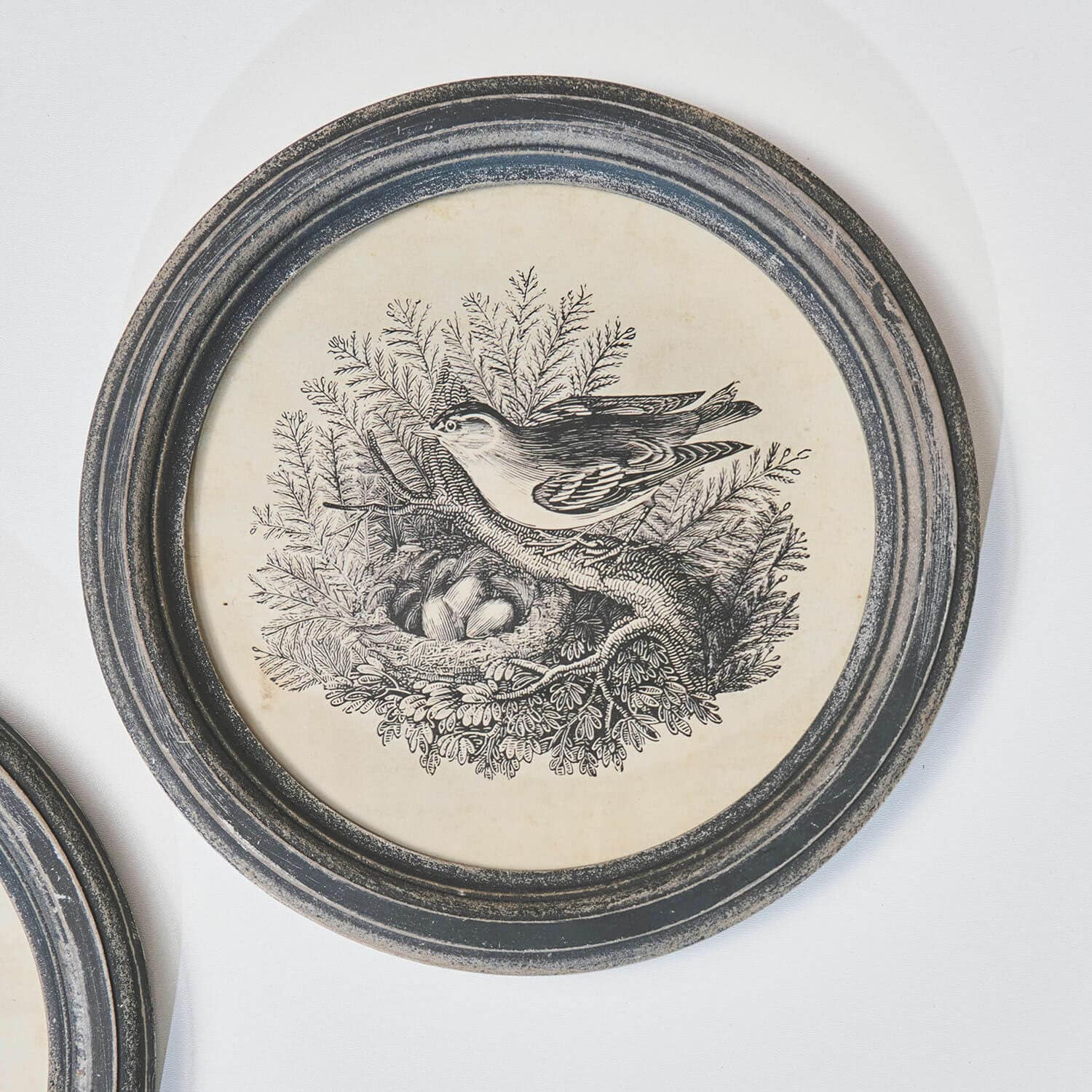 Rundes Bild mit schwarz-weißem Druck eines Vogels im Nest in einem vintage Holzrahmen