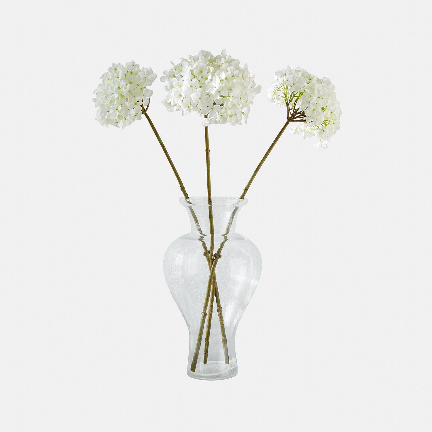 Vase Cantellia