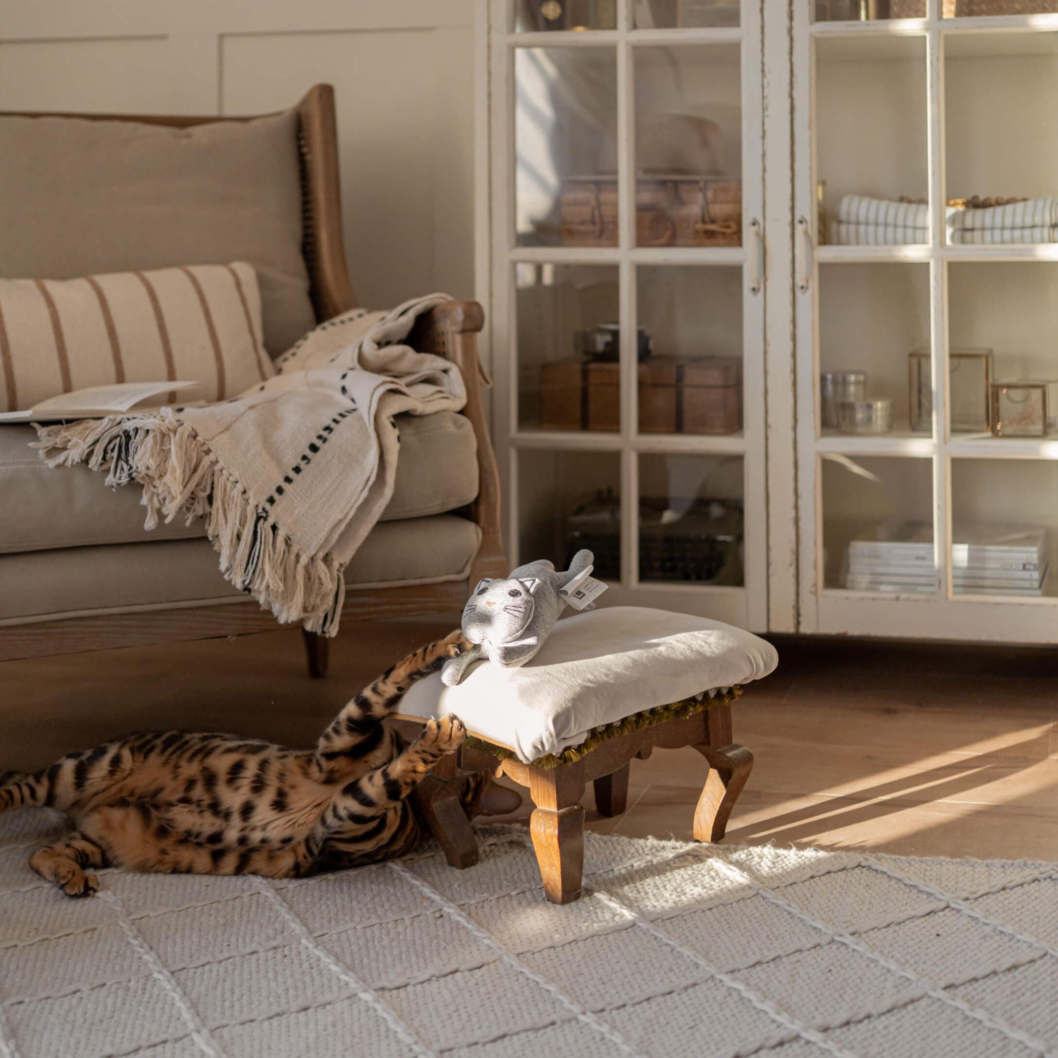 Graue Plüschkatze auf weißem Hocker mit Holzbeinen in gemütlichem Wohnzimmer mit spielender Katze auf Teppich