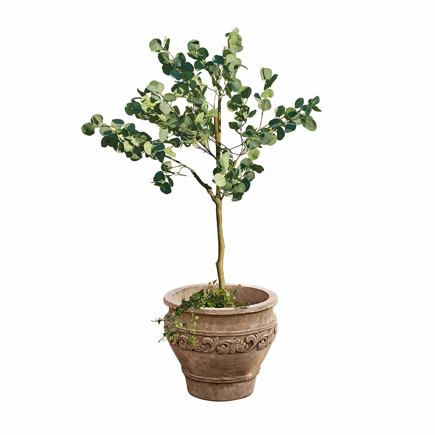 Deko-Baum Yverdon