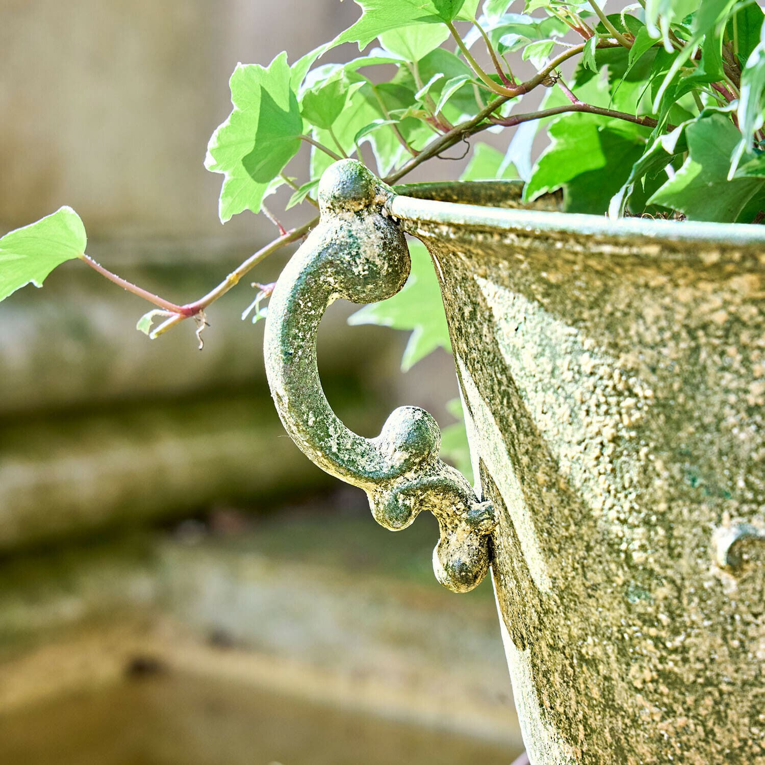 Grüne Metallpflanzschale mit Patina und dekorativem Griff, umgeben von Efeublättern im Garten