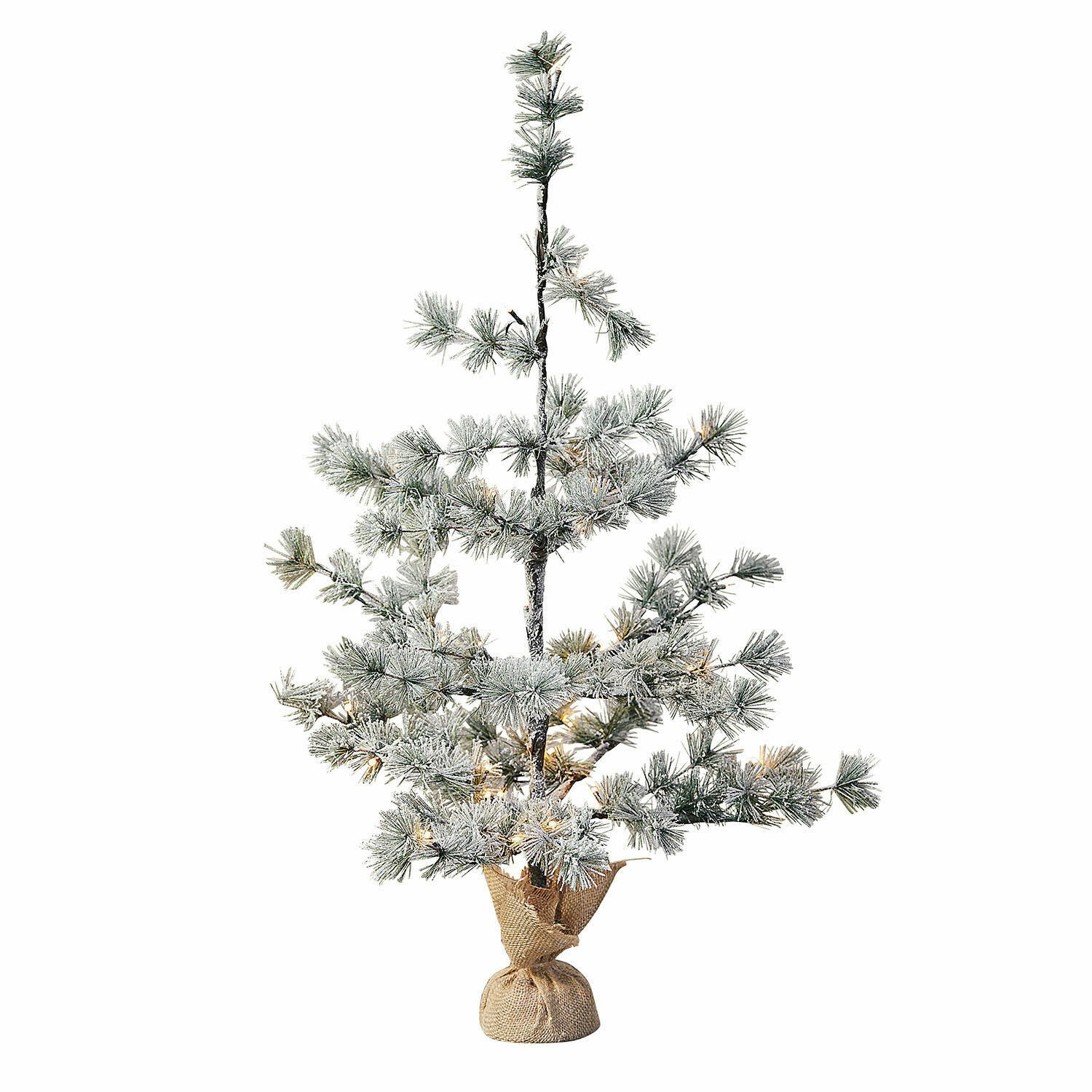 Weihnachtsbaum Falkirk