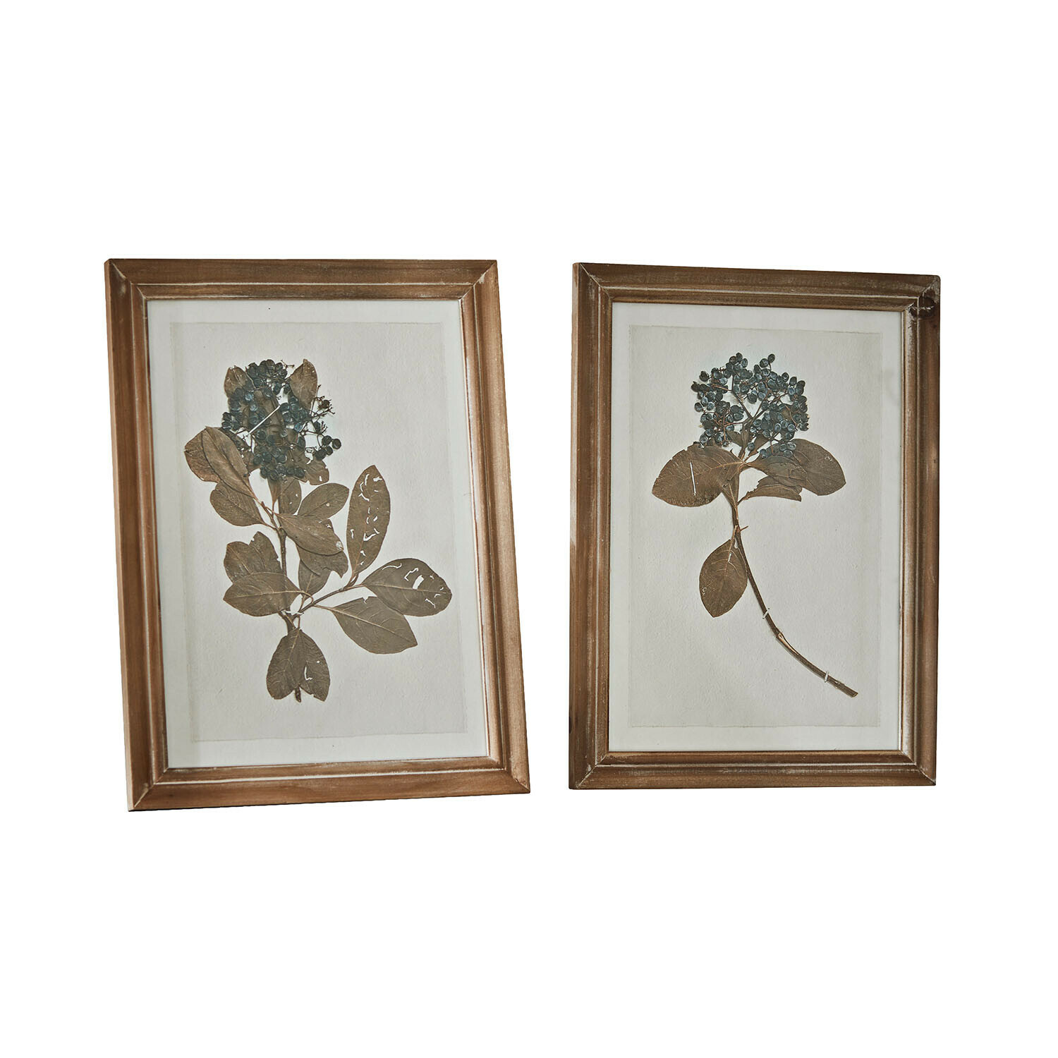 Zwei braune Holzrahmen mit getrockneten Blumen und Blättern als Wanddekoration