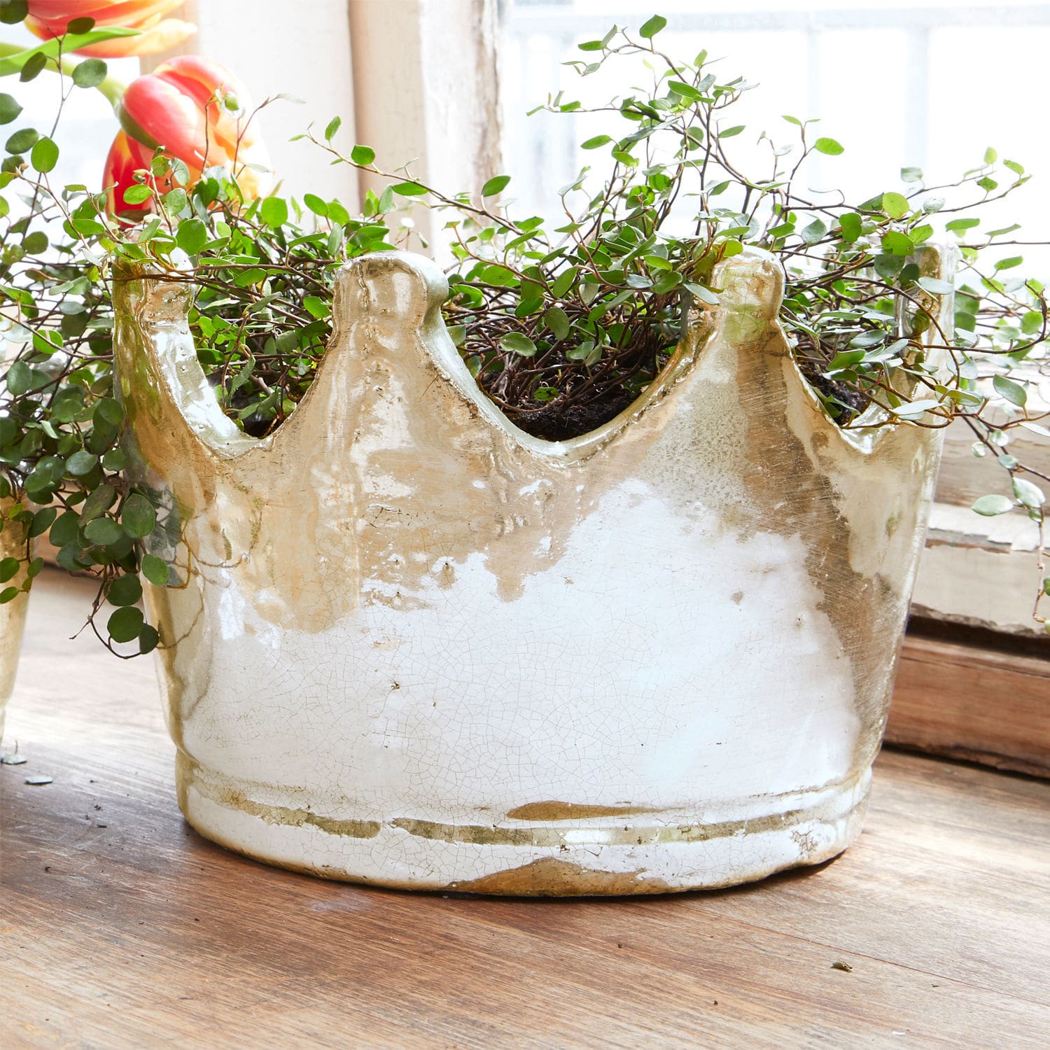 Keramik-Blumentopf in Kronenform in Weiß und Gold mit grüner Pflanze auf Holztisch