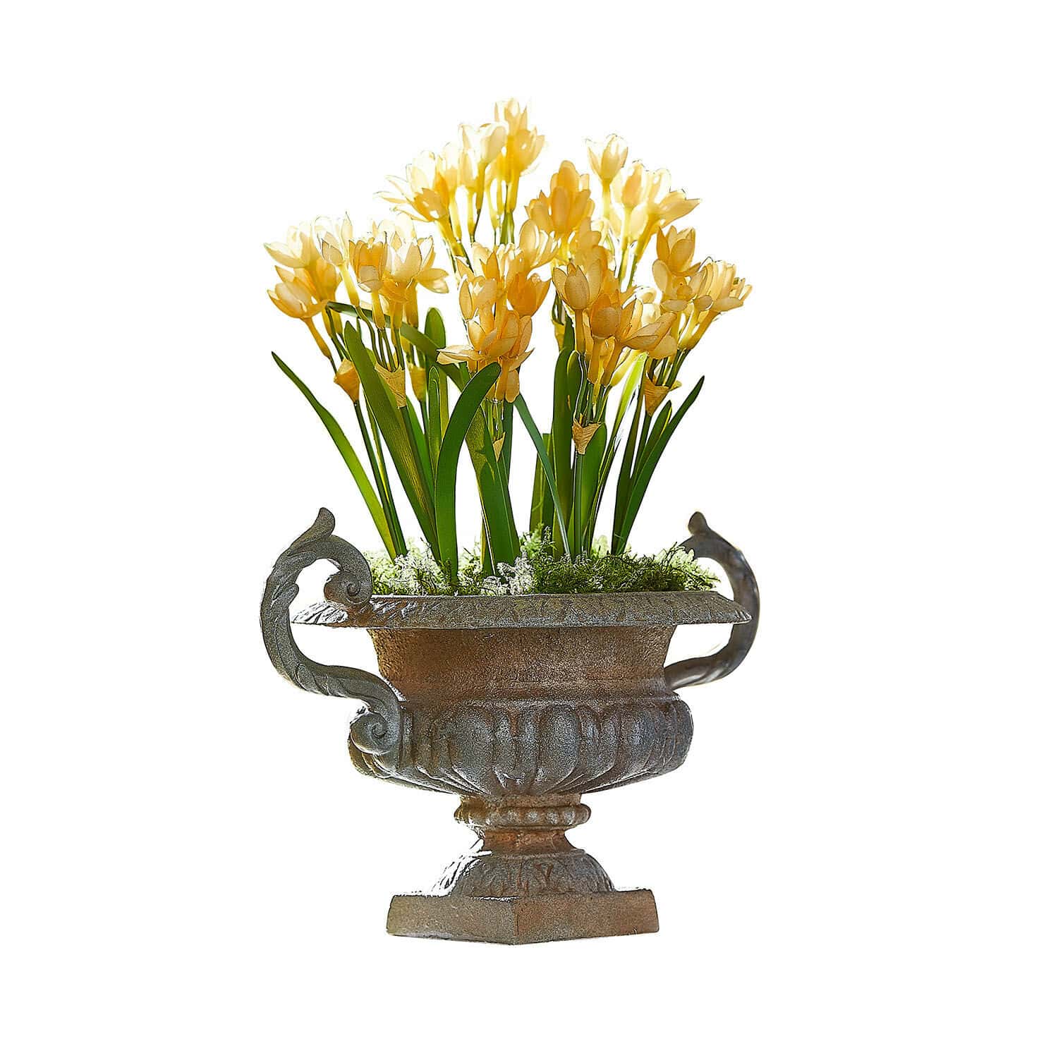 Amphore Iverlon Dekorativer Metallblumenkübel mit gelben Blumen und grünen Blättern vor weißem Hintergrund