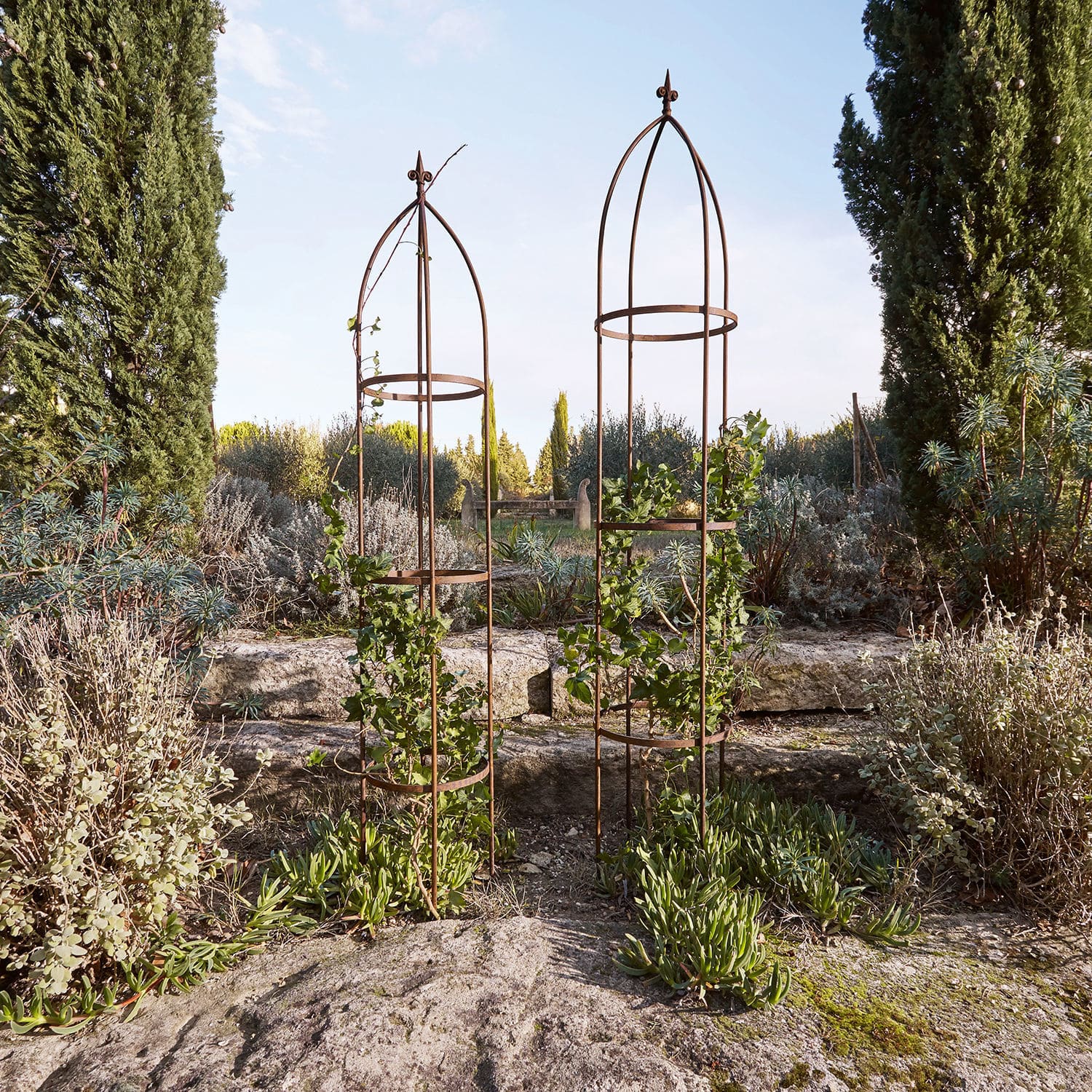 Lot de 2 treillis Dorhal
