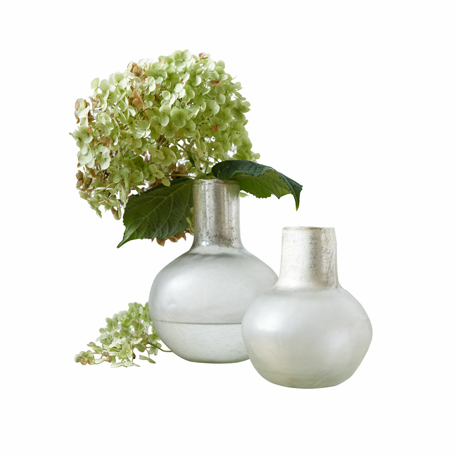 Vase 2er Set Nazira Zwei matte milchglasfarbene Vasen mit grünen Hortensienblüten zur Wohnraumdekoration
