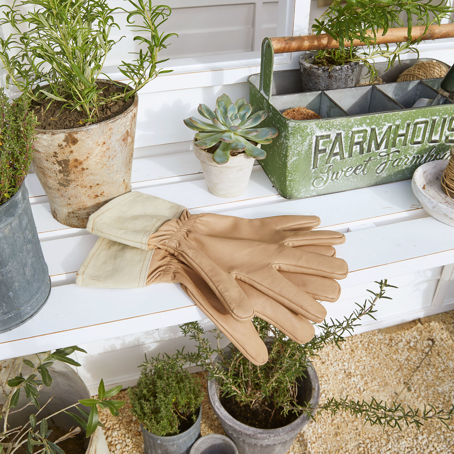 Handschuhe Antros Beige Leder-Gartenhandschuhe mit Baumwollbündchen auf weißem Tisch mit Pflanzen arrangiert