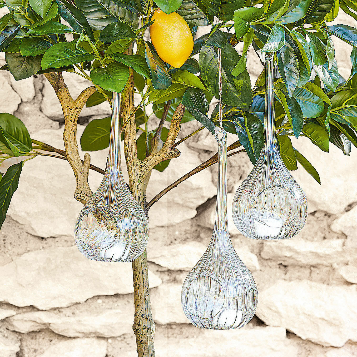 Transparente Glaslaternen hängen an einem Baumzweig mit Zitrone, Gartendekoration