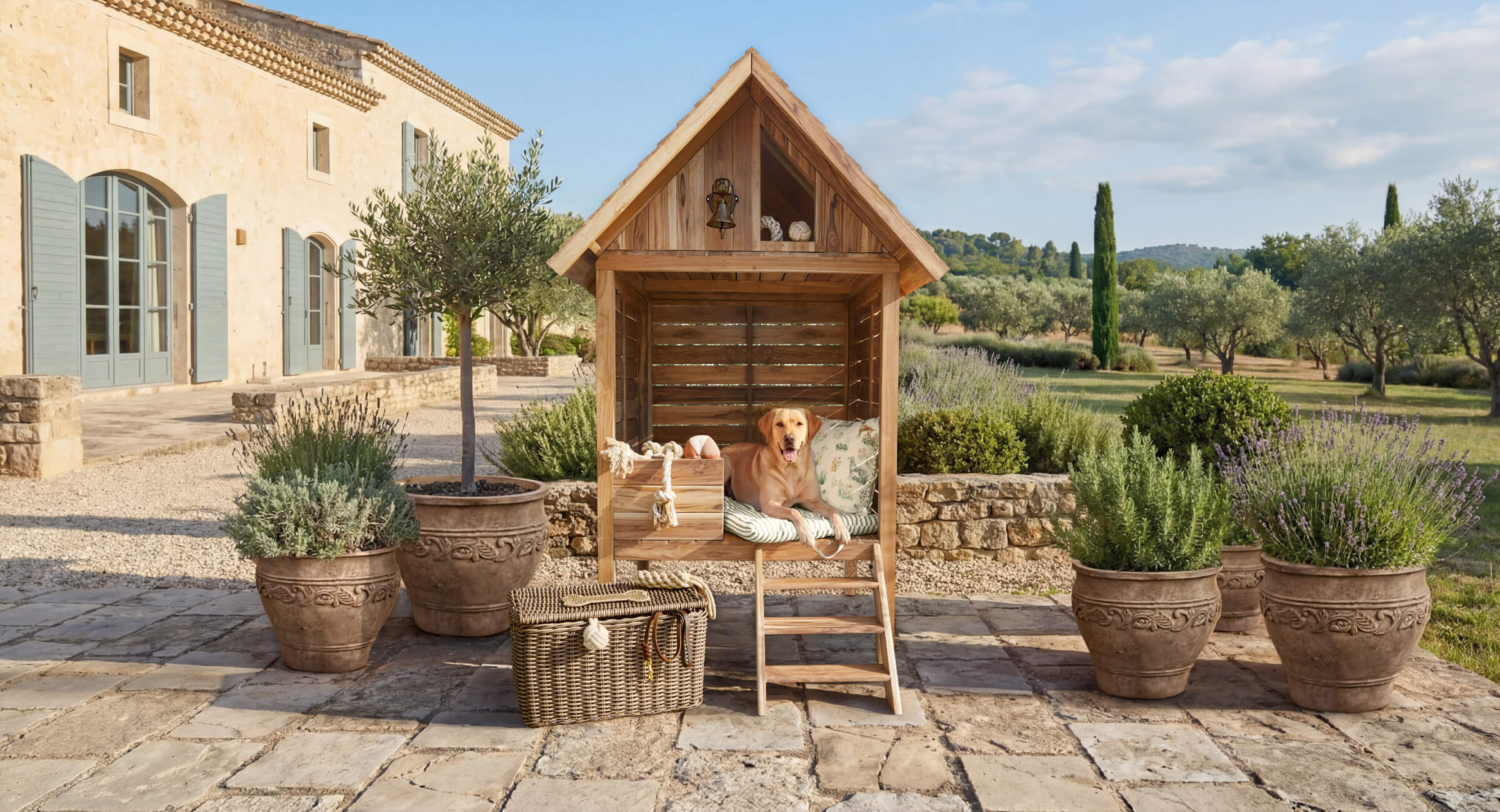 Landpartie für Vierbeiner