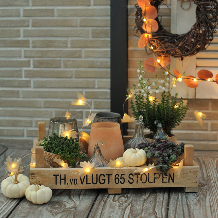 Traumhaftes Herbst-Ensemble