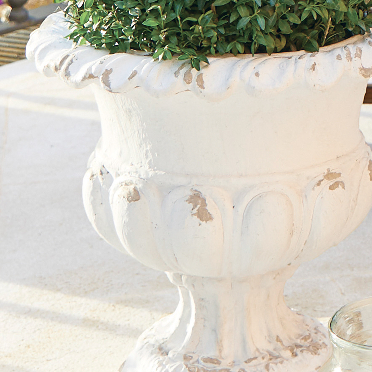 Weißer Keramikvase mit antikem Finish und grüner Pflanze, dekorativer Gartentopf