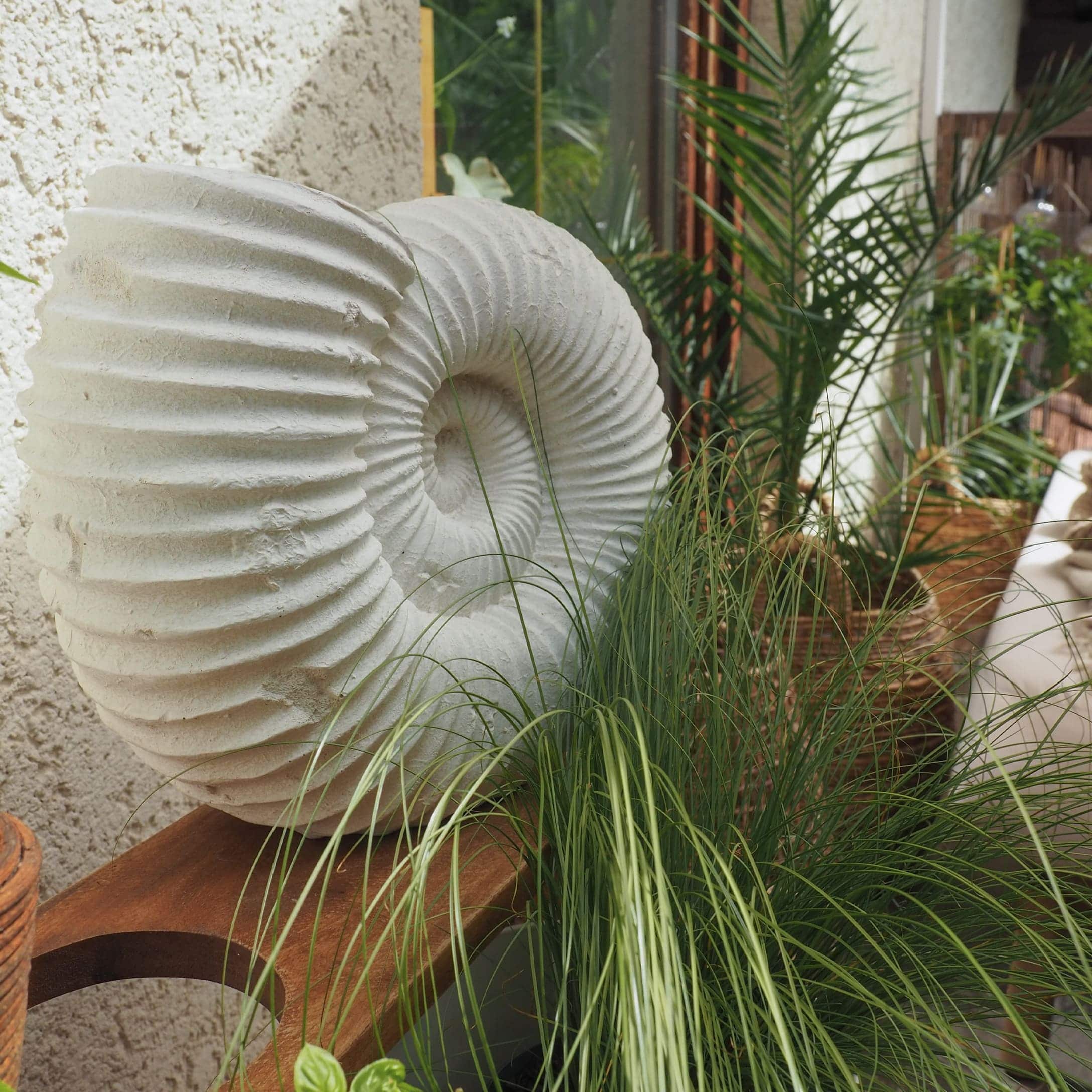 Weiße Steindekoration in Muschelform auf Holzregal mit grünen Pflanzen im Hintergrund