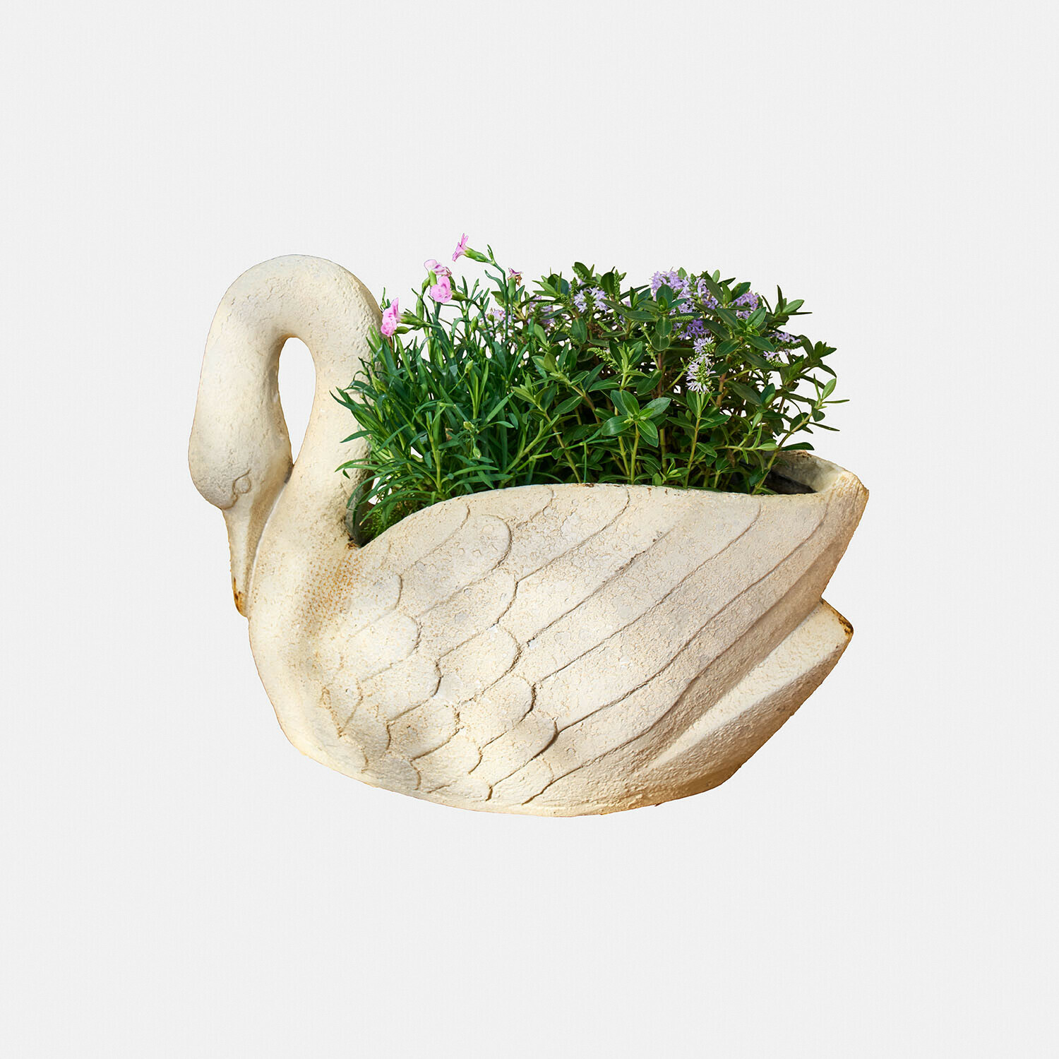 Übertopf Belmarie Schwanförmiger Pflanztopf aus hellem Stein mit grünen Pflanzen und violetten Blüten für Gartendekor